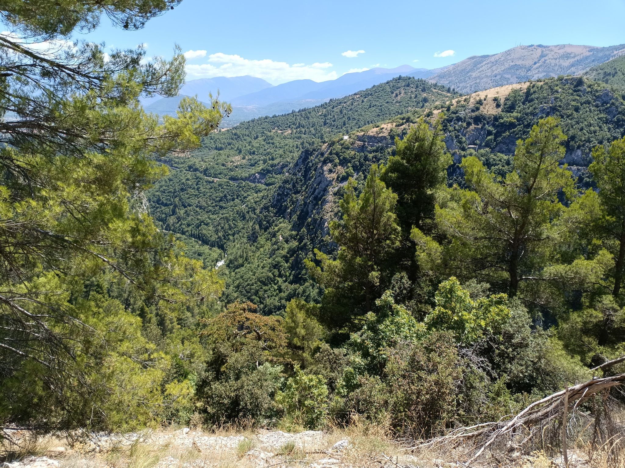 panorama