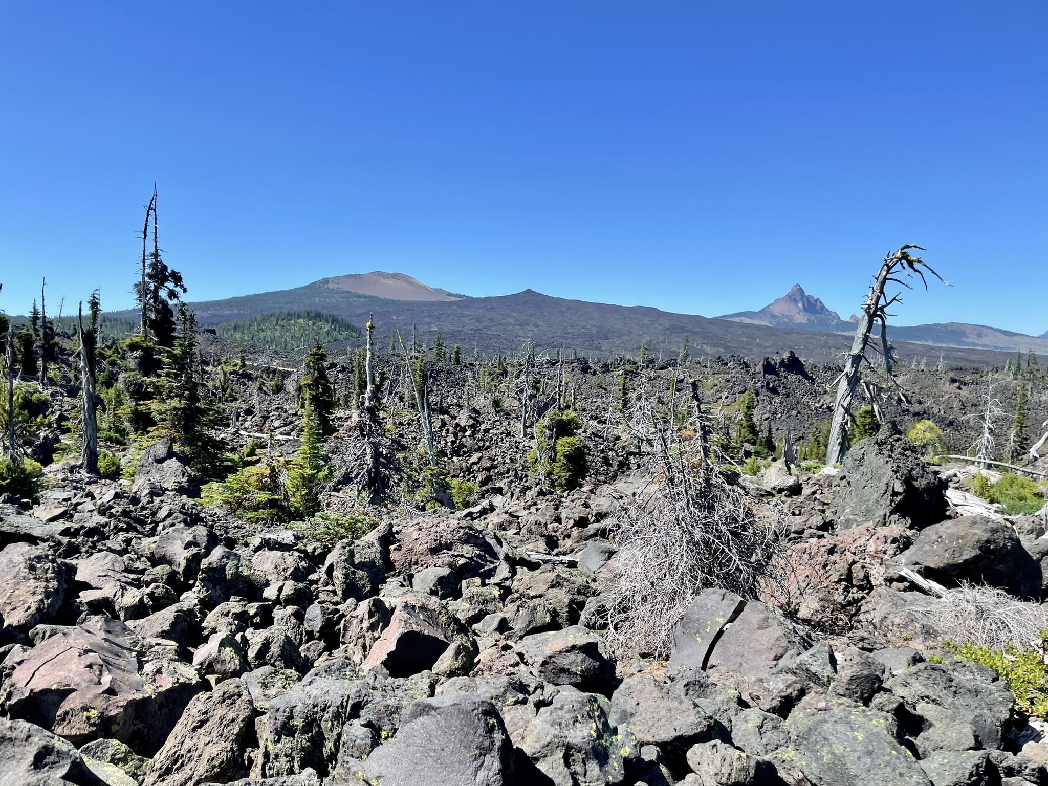 Vast rocky volcanic landscape with sparse trees and distant mountain peaks. - South Matthieu Lake – Yapoah Crater loop from Lava Camp Lake