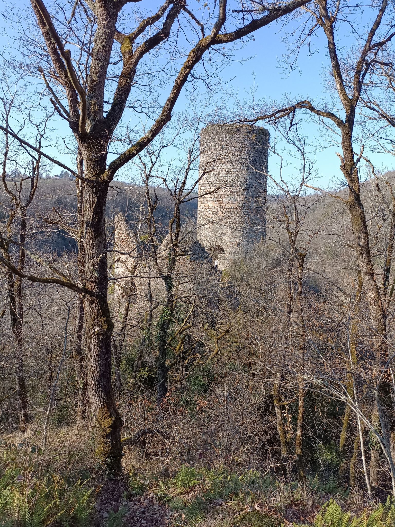 Château de l'Ours