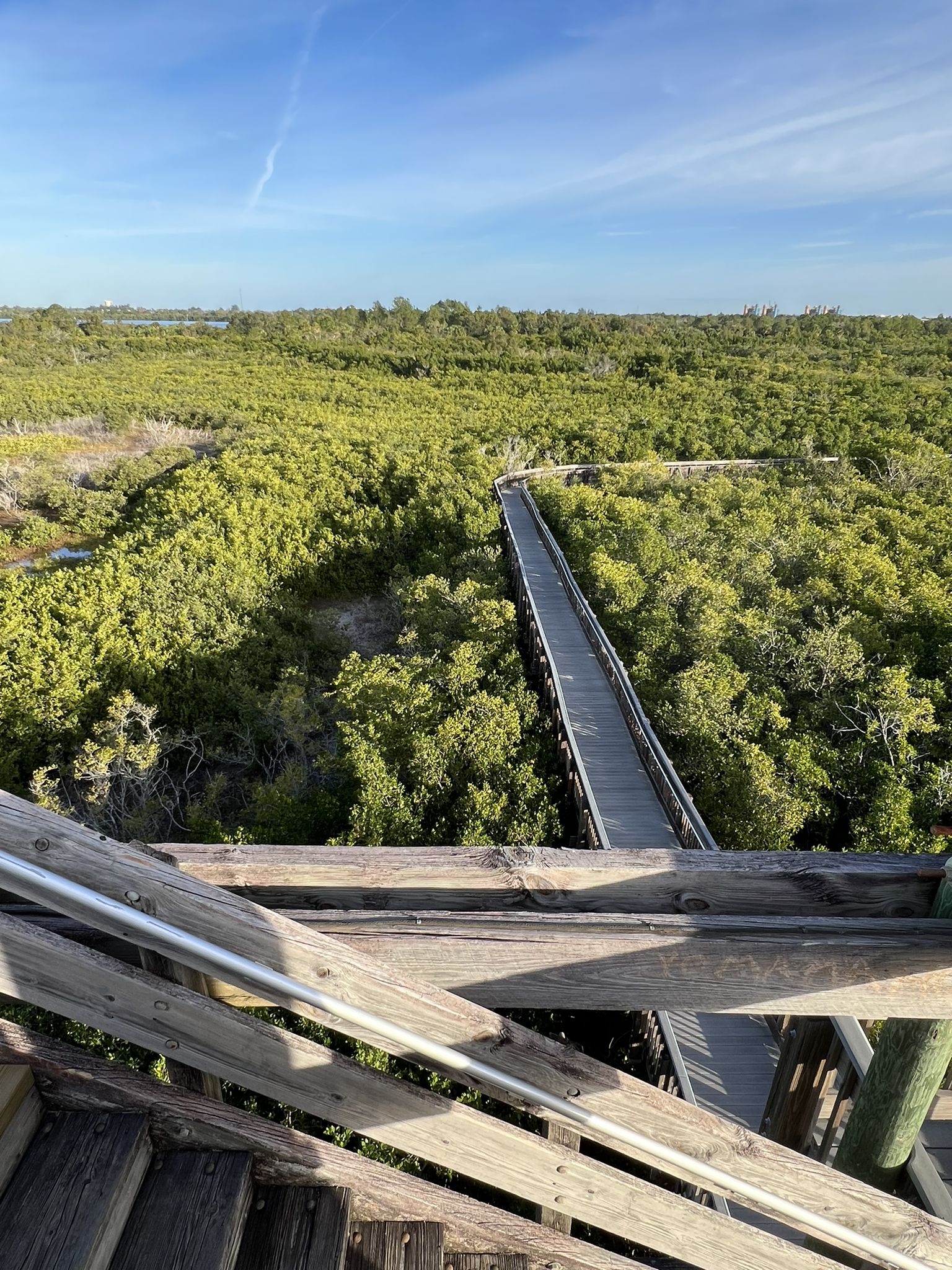 Elevated view of a long wooden boardwalk winding through dense green trees. - Upland Trail