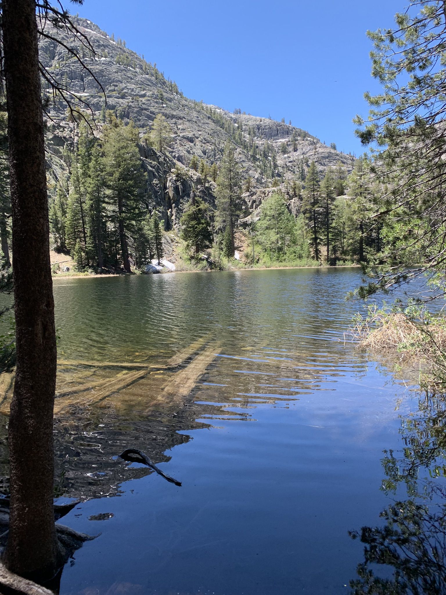 Clear lake with submerged logs, surrounded by a rocky, forested mountain. - Shadow Lake via Shadow Creek Trail