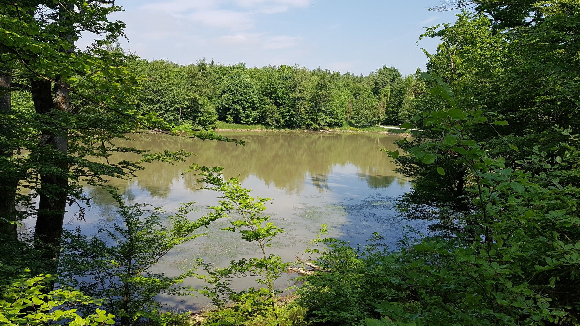 weiher