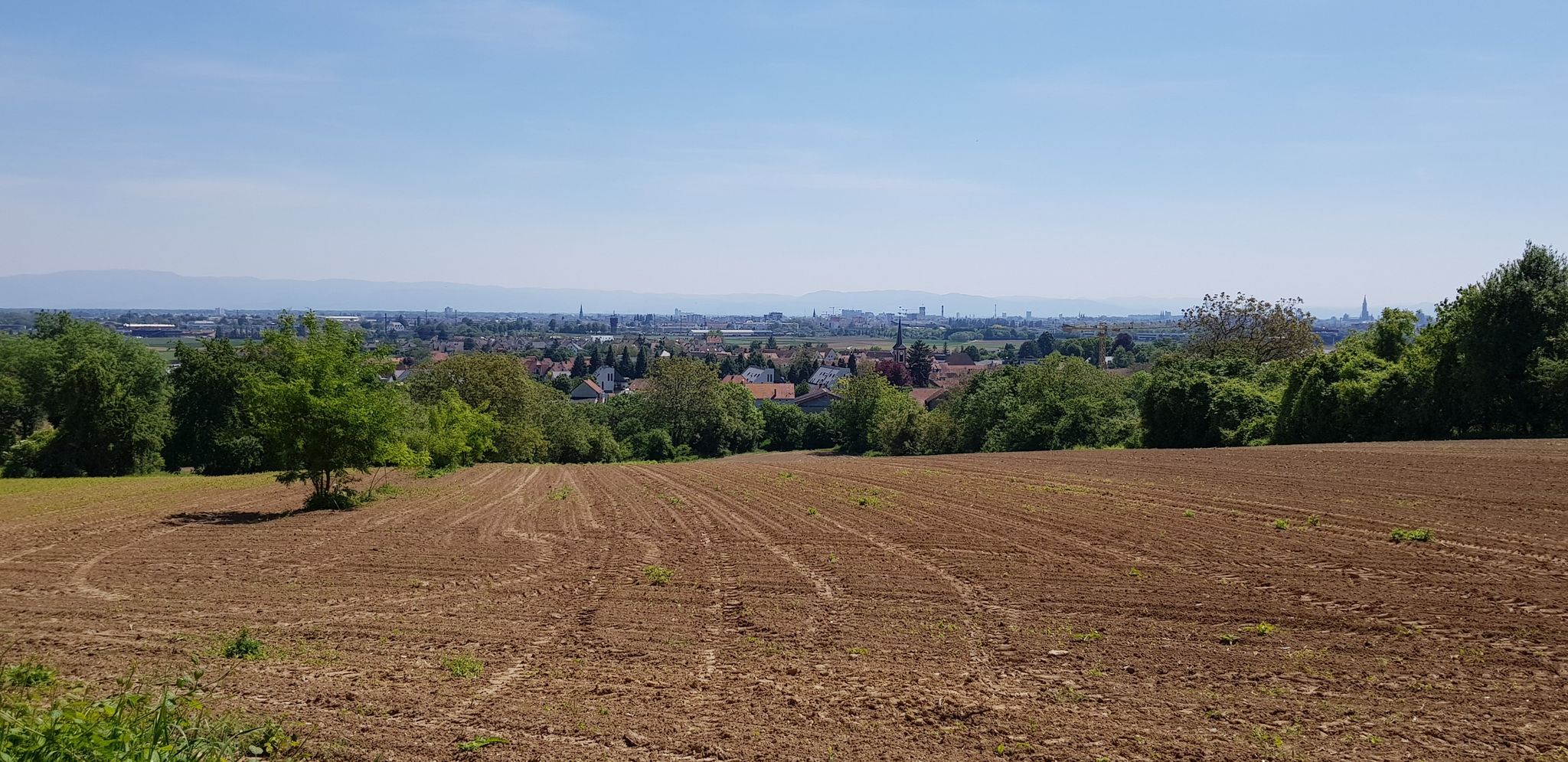Straßburg