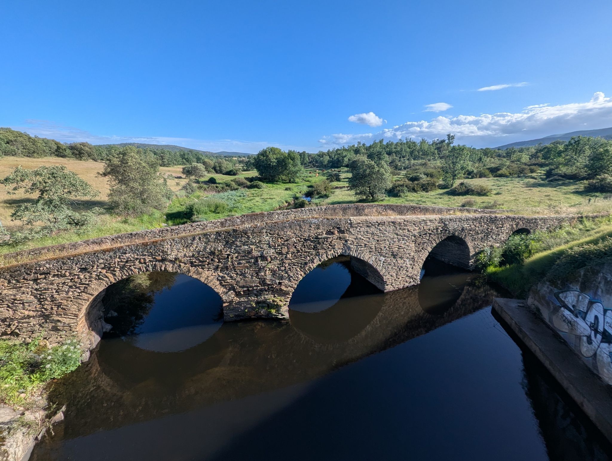 Puente Río Garciaz.