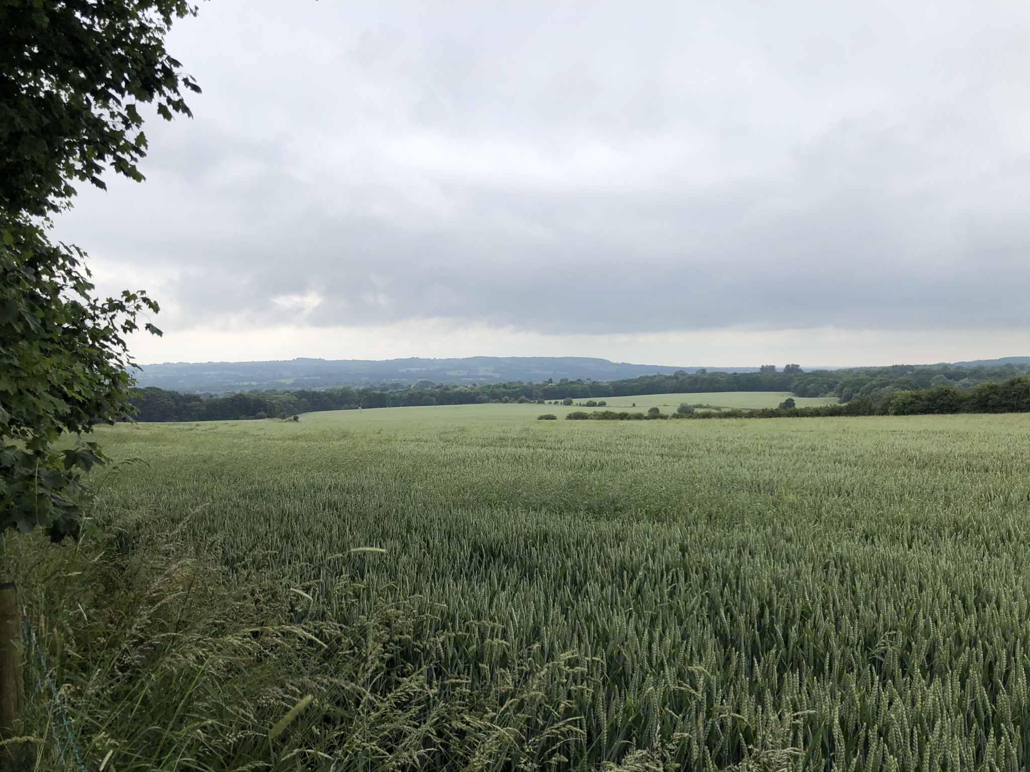 Douglas Valley from Standish 
