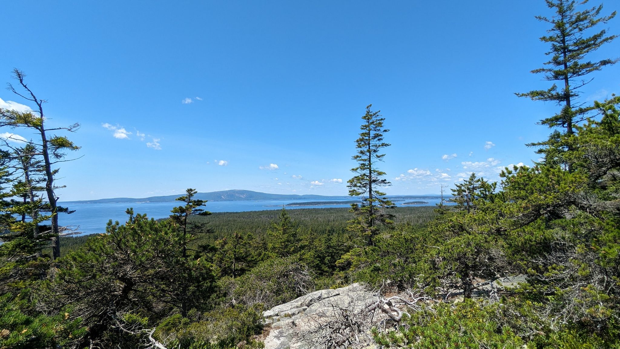 Sunny overlook with evergreen trees, a vast blue bay, and distant land. - Anvil, Schoodic Head, and Alder Trail Loop