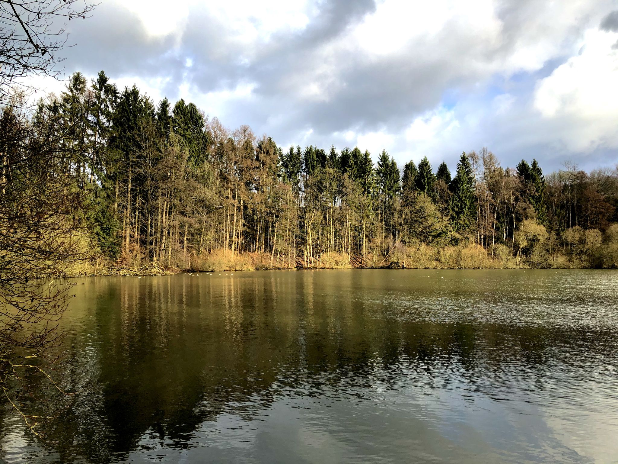 Der Herrenteich