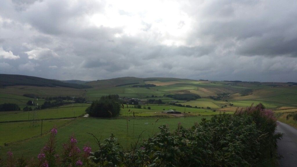 Langshaw 