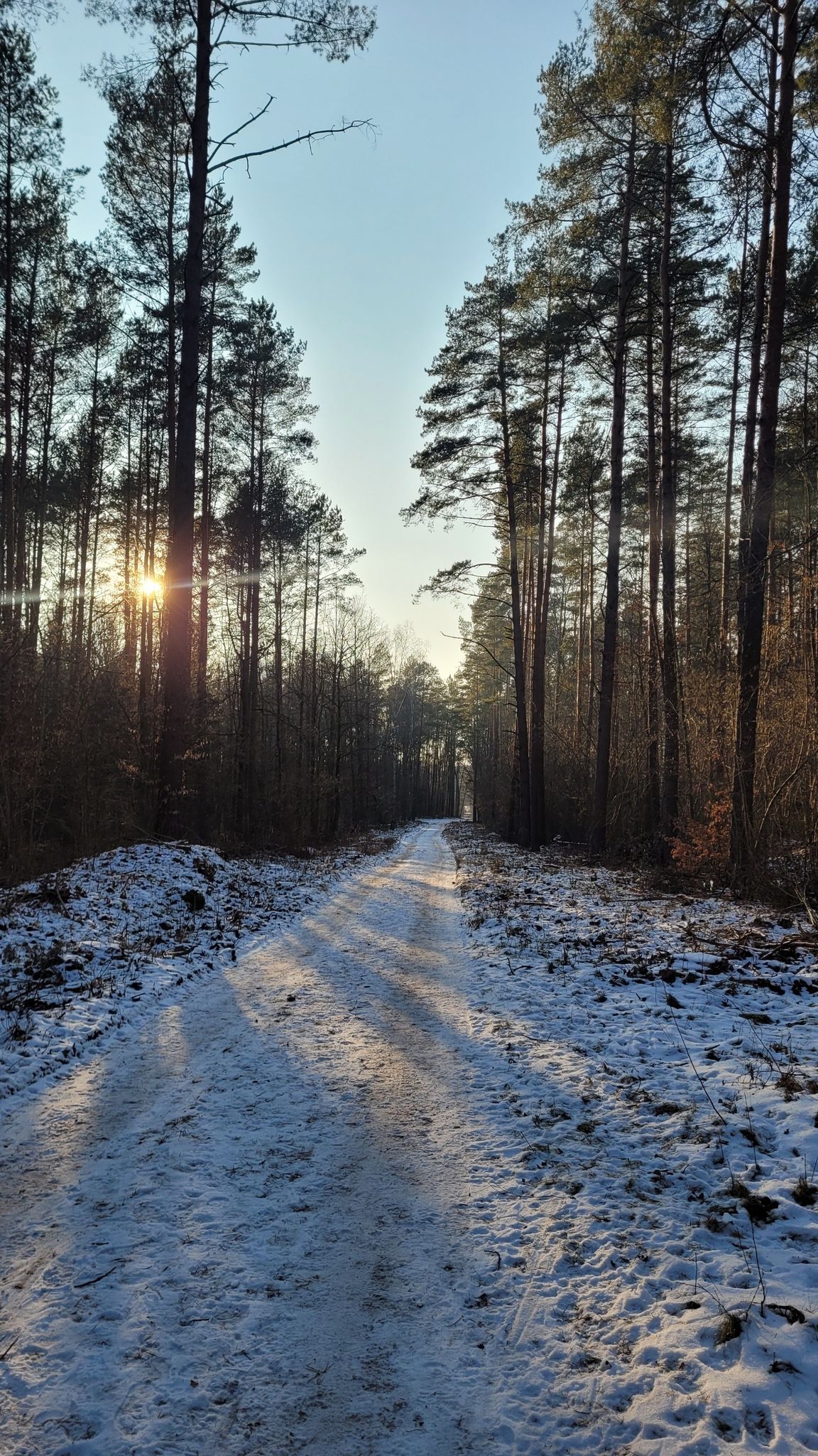 Zimowe klimaty w Lesie Solnickim.