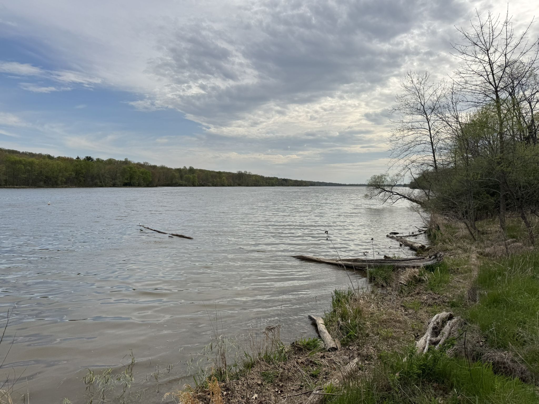 Wide river with wooded banks under a cloudy sky, driftwood in water. - Peace Valley Park Double Loop
