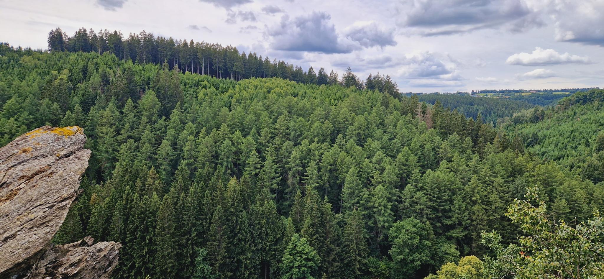 Co robić w rezerwacie Naturschutzgebiet Glüsinger Bruch Und Osterbruch