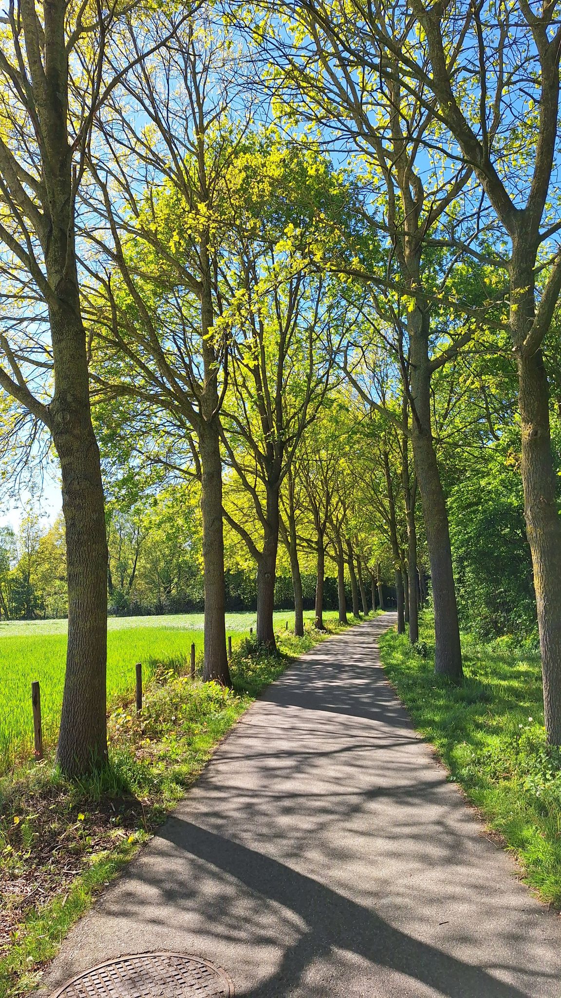 Trage weg - voormalige spoorlijn Eeklo-Zelzate