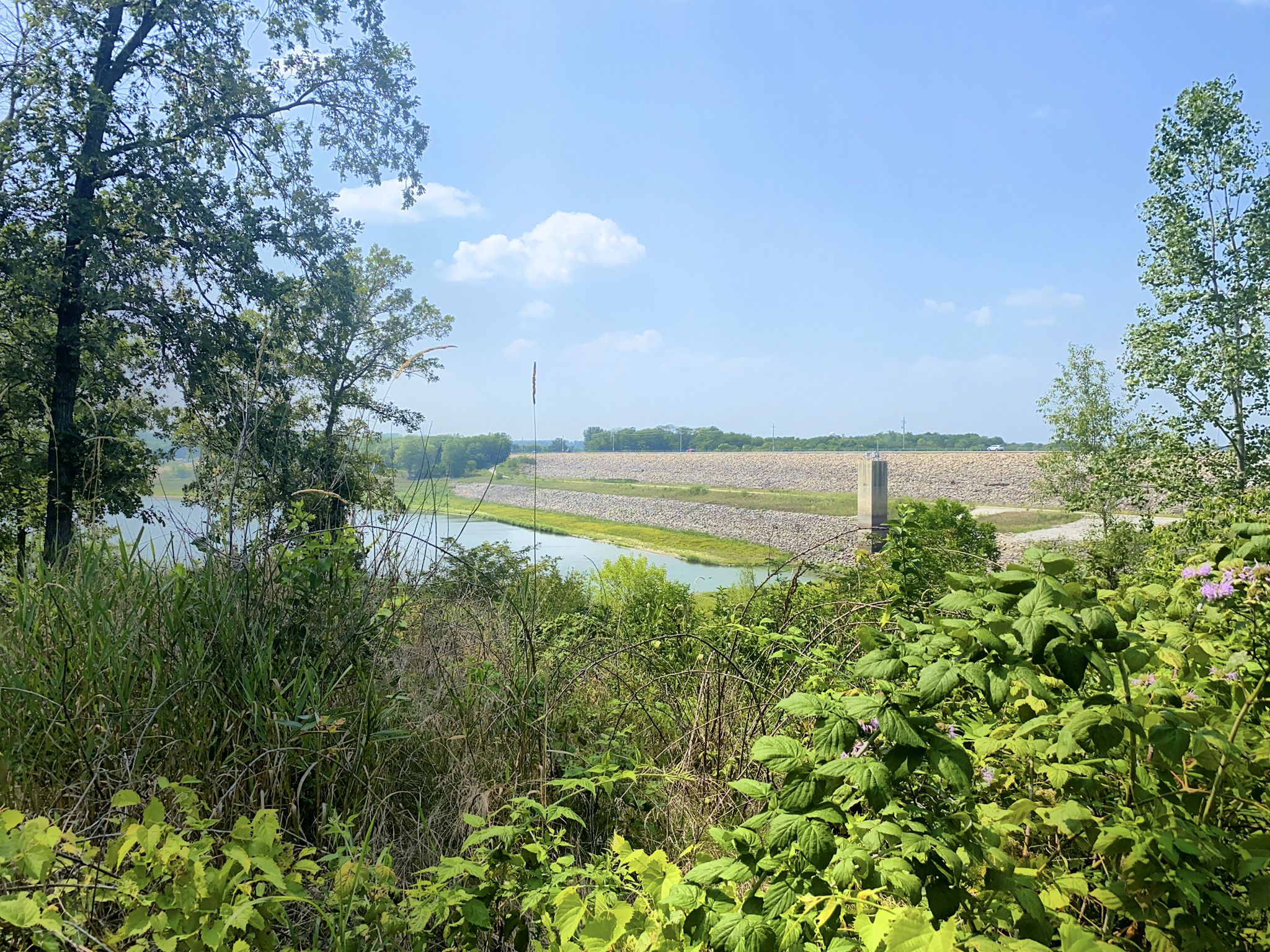 Sunny view of a large dam next to water, framed by green trees. - Saylorville Dam – Neal Smith Trail loop from Sycamore Wildlife Area