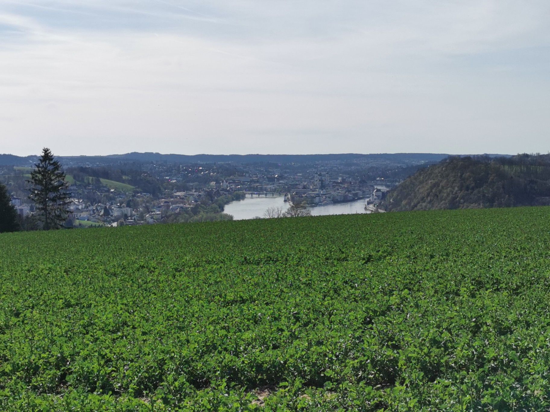 Blick auf Passau