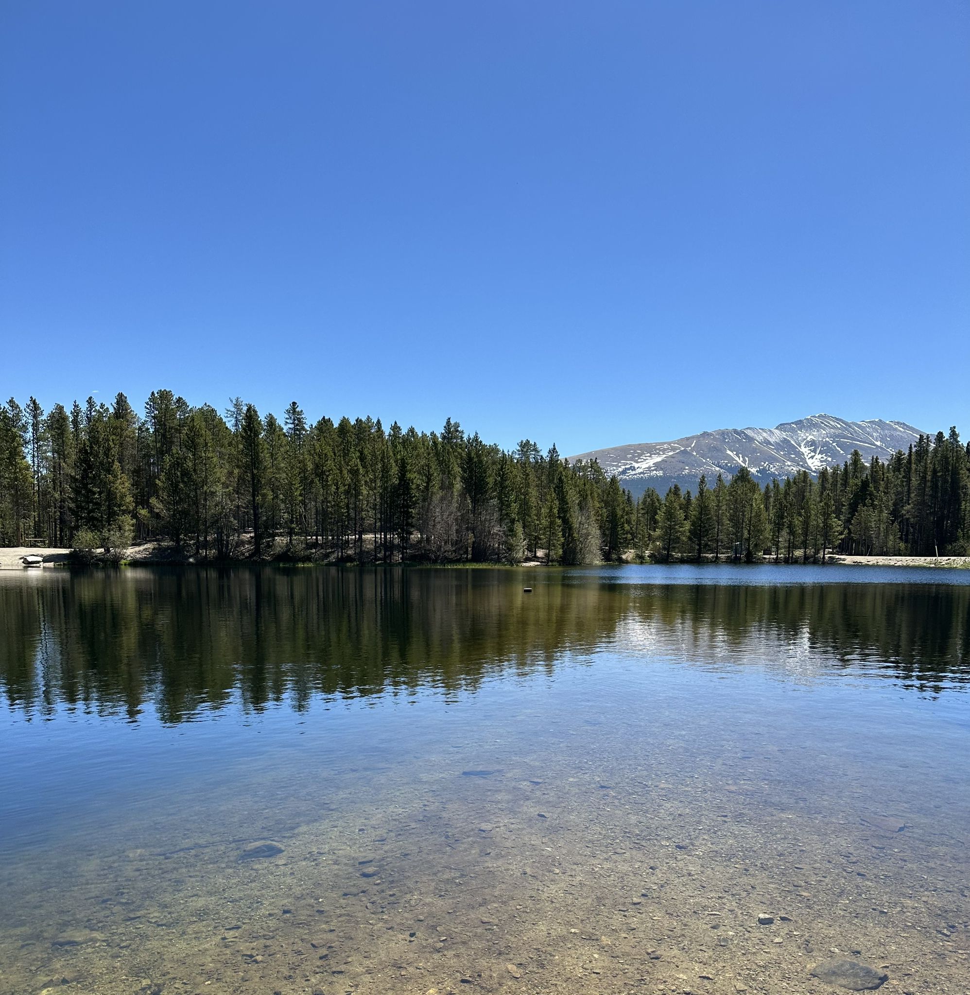 Clear lake reflecting blue sky, surrounded by pine forest and snowy mountains. - Sawmill Reservoir Trail