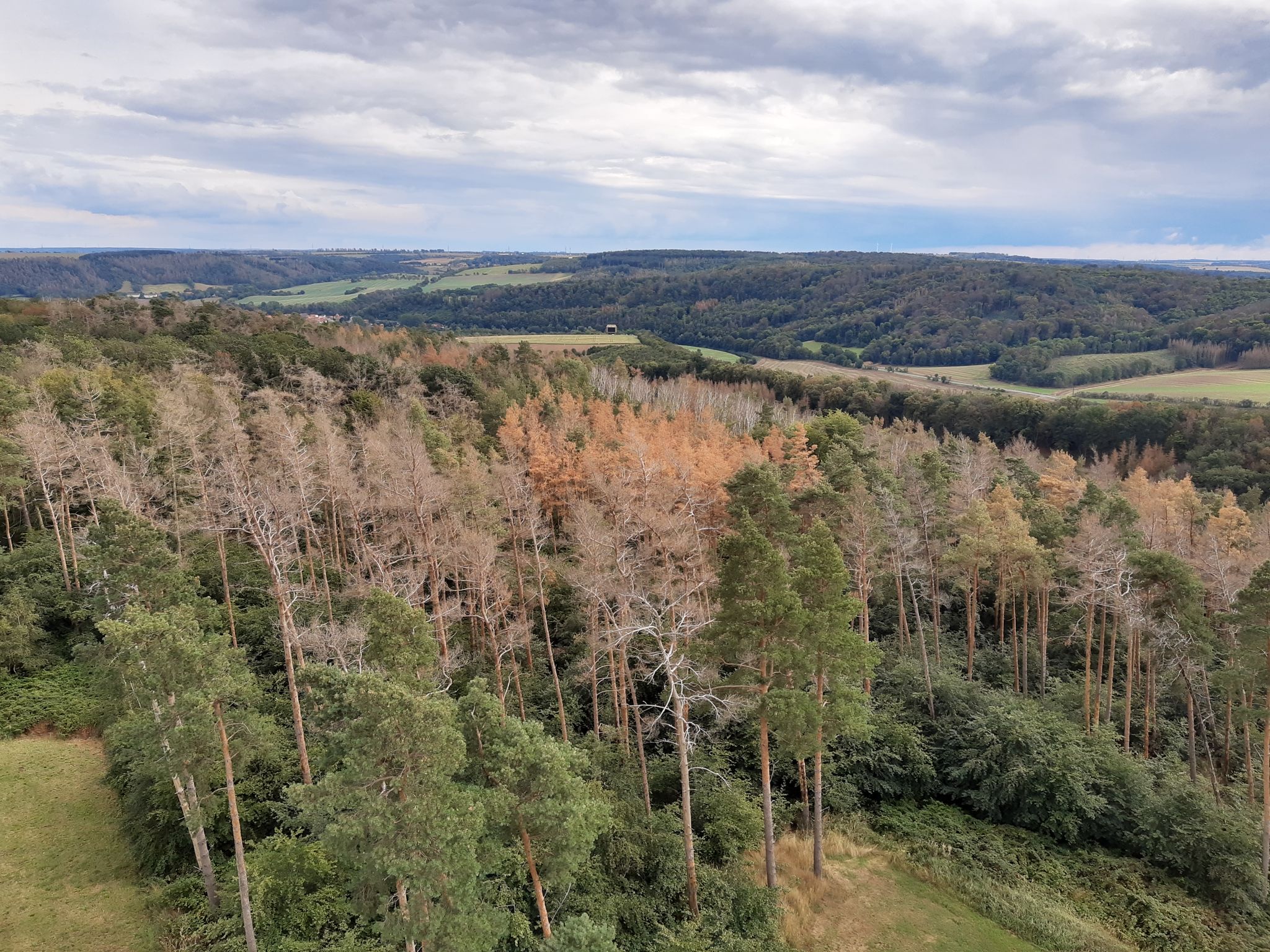 Vom Aussichtsturm: Arche Nebra