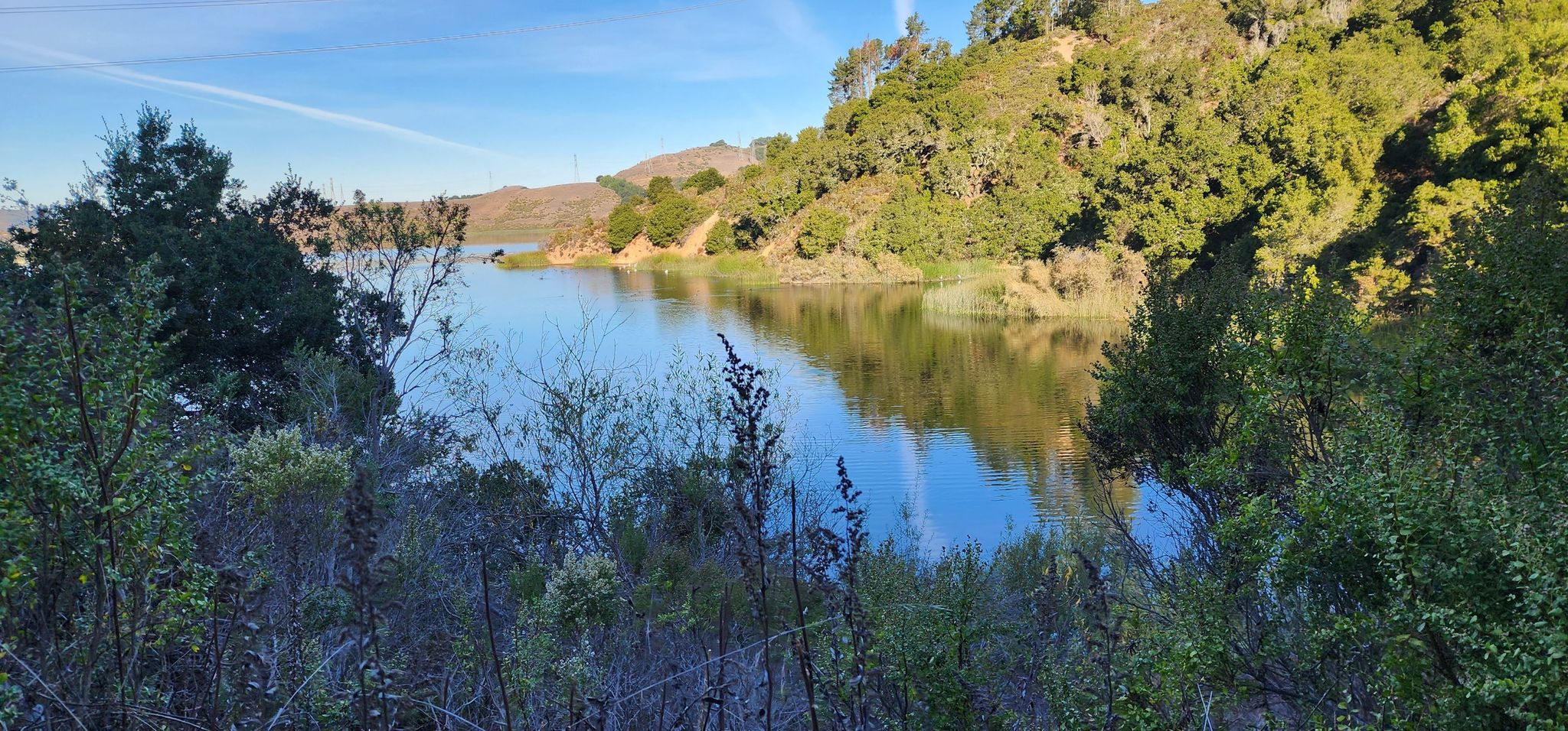 Calm blue water reflecting the sky, surrounded by lush green trees and hills. - Briones Overlook via Bear Creek Trail