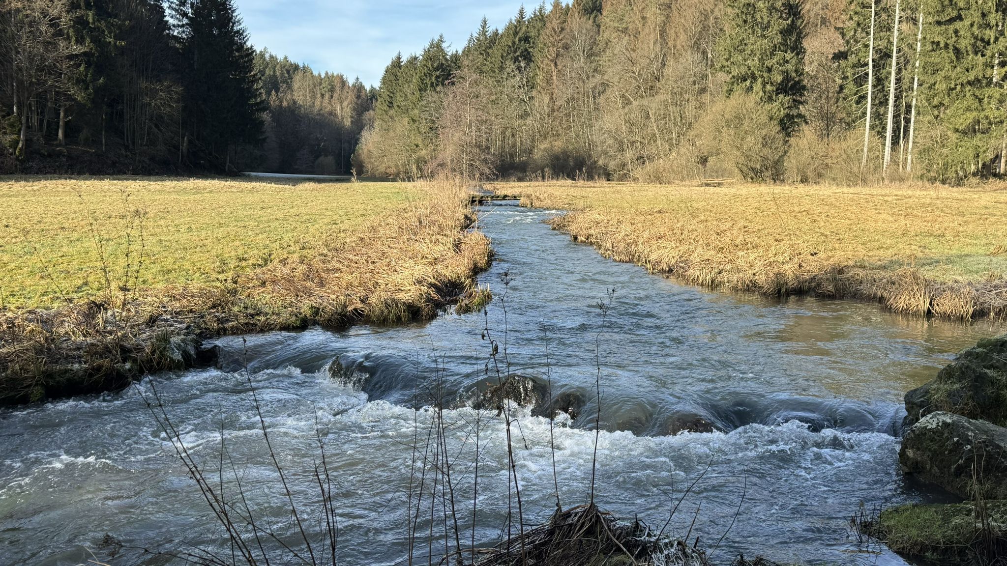 Die Aufseß