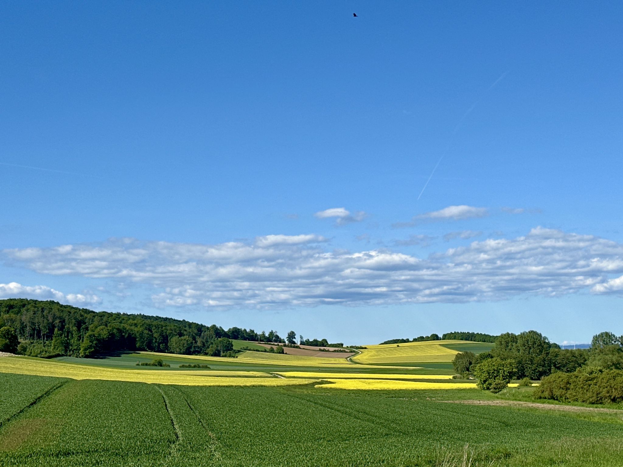 11.05.25: Blick ins Suhletal