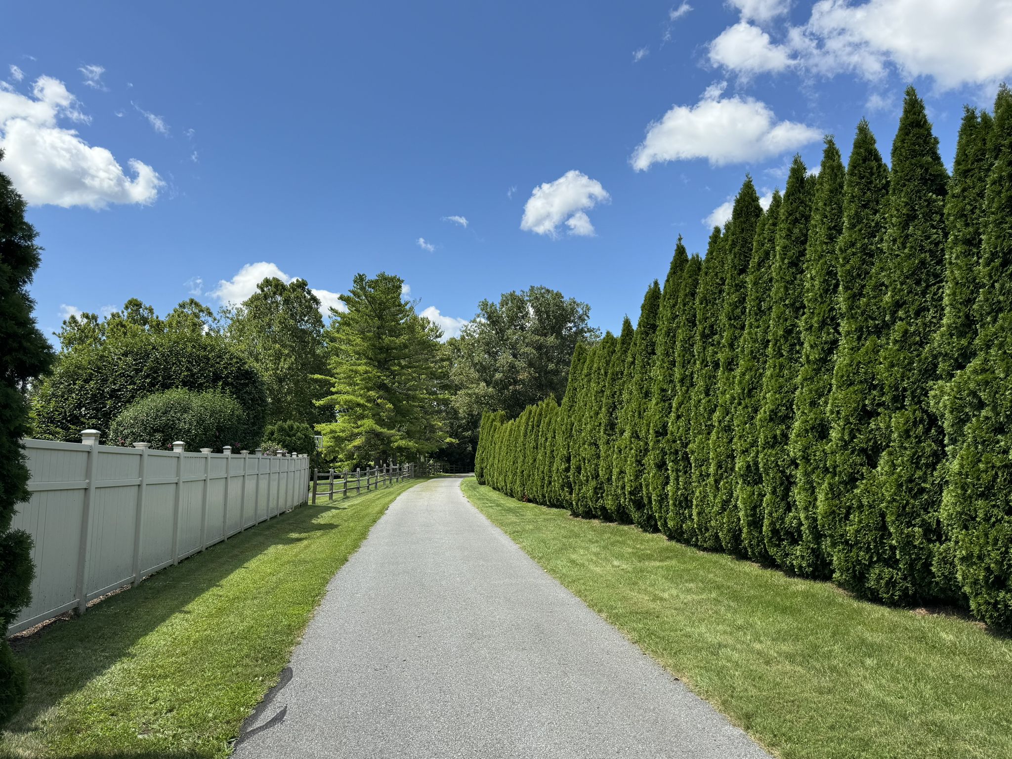 Paved path bordered by a tall green hedge and white fence under blue sky. - Ironton Rail Trail – Coplay Creek loop from Northampton