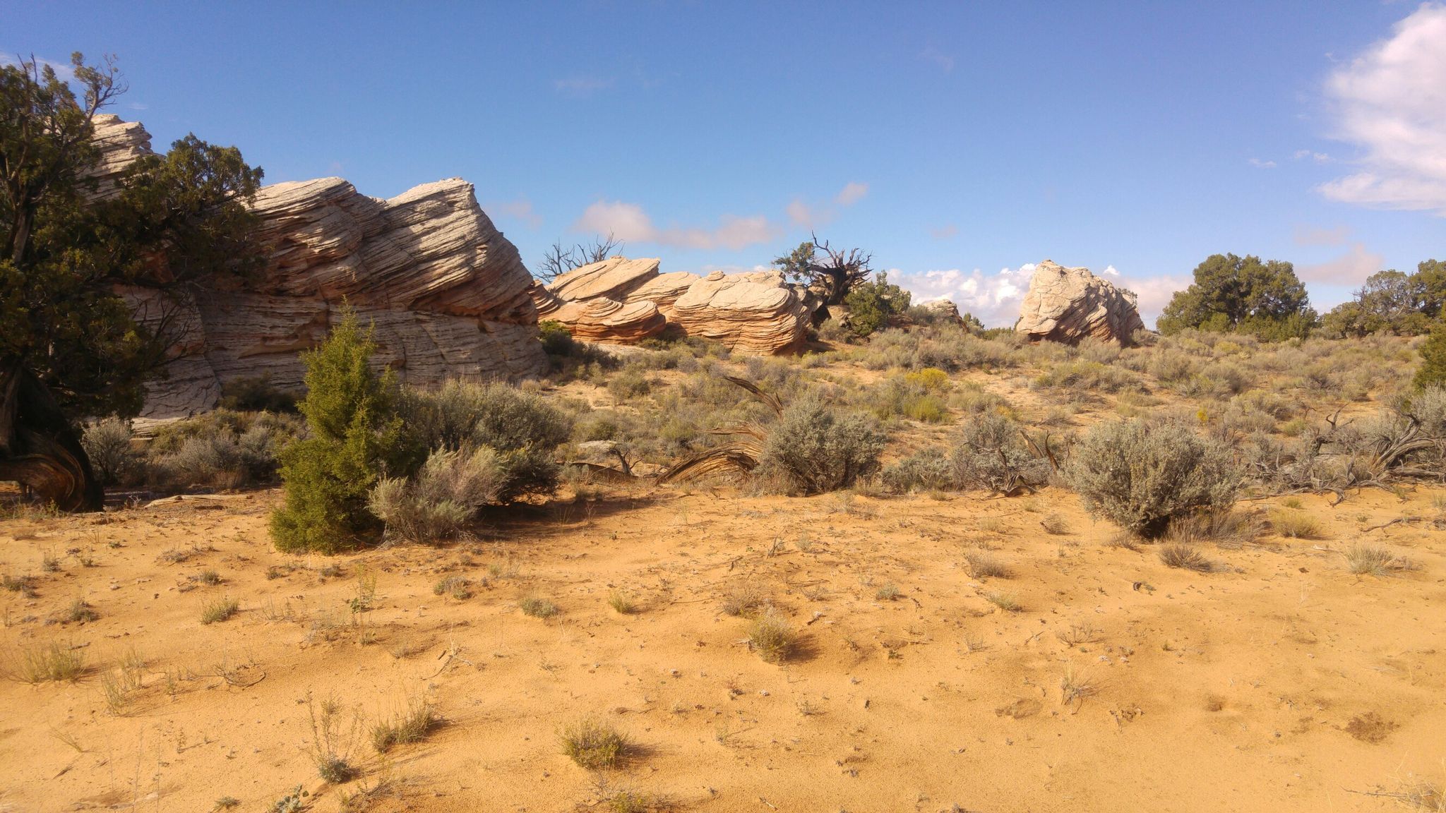 Sunny desert landscape with layered rock formations, sandy ground, and sparse green vegetation. - White Pockets Road