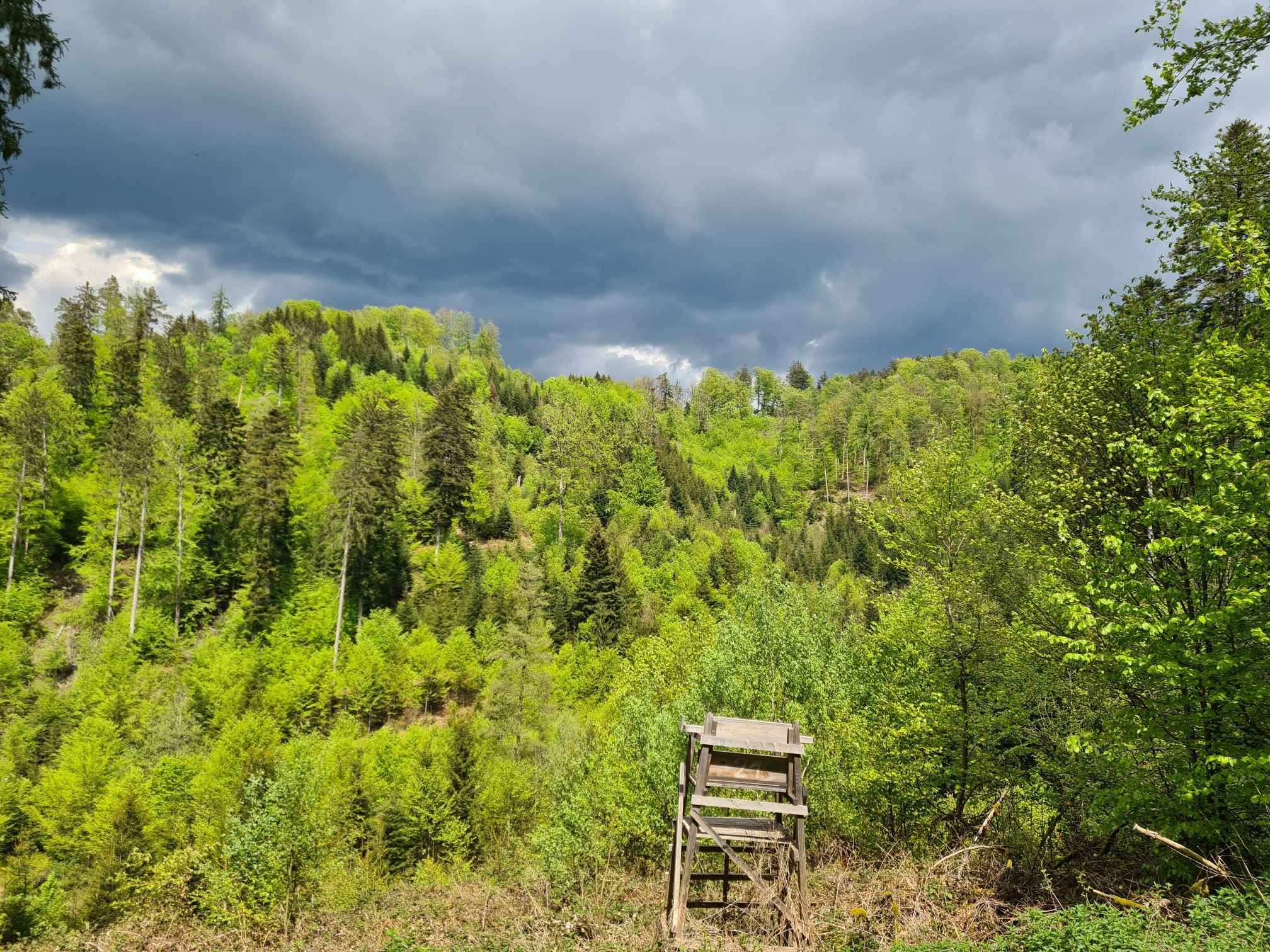 Dark clouds are coming ...