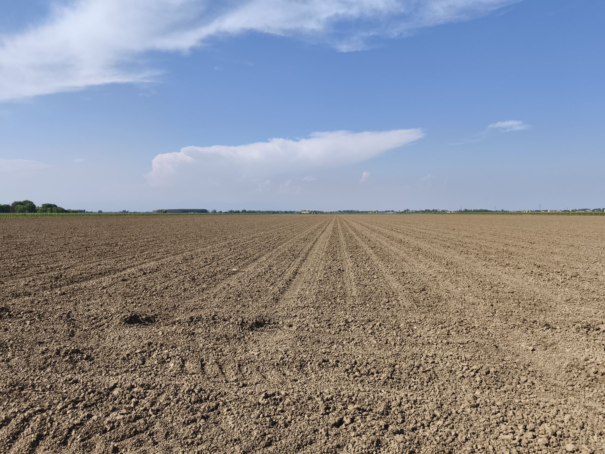 campagna infinita