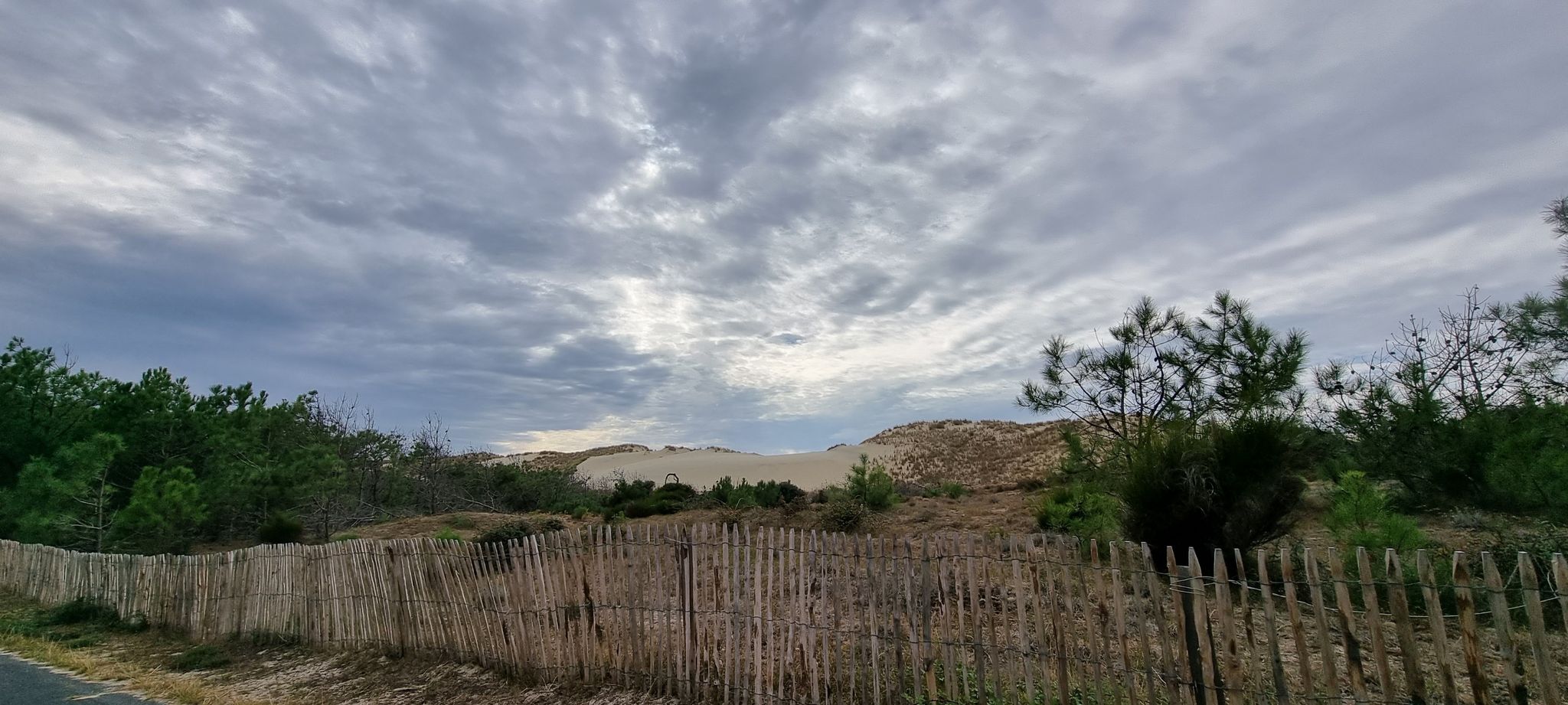 Qui il mare e la foresta retrostante sono spesso separate da sistemi di dune molto imponenti (vd. duna di Pyla)