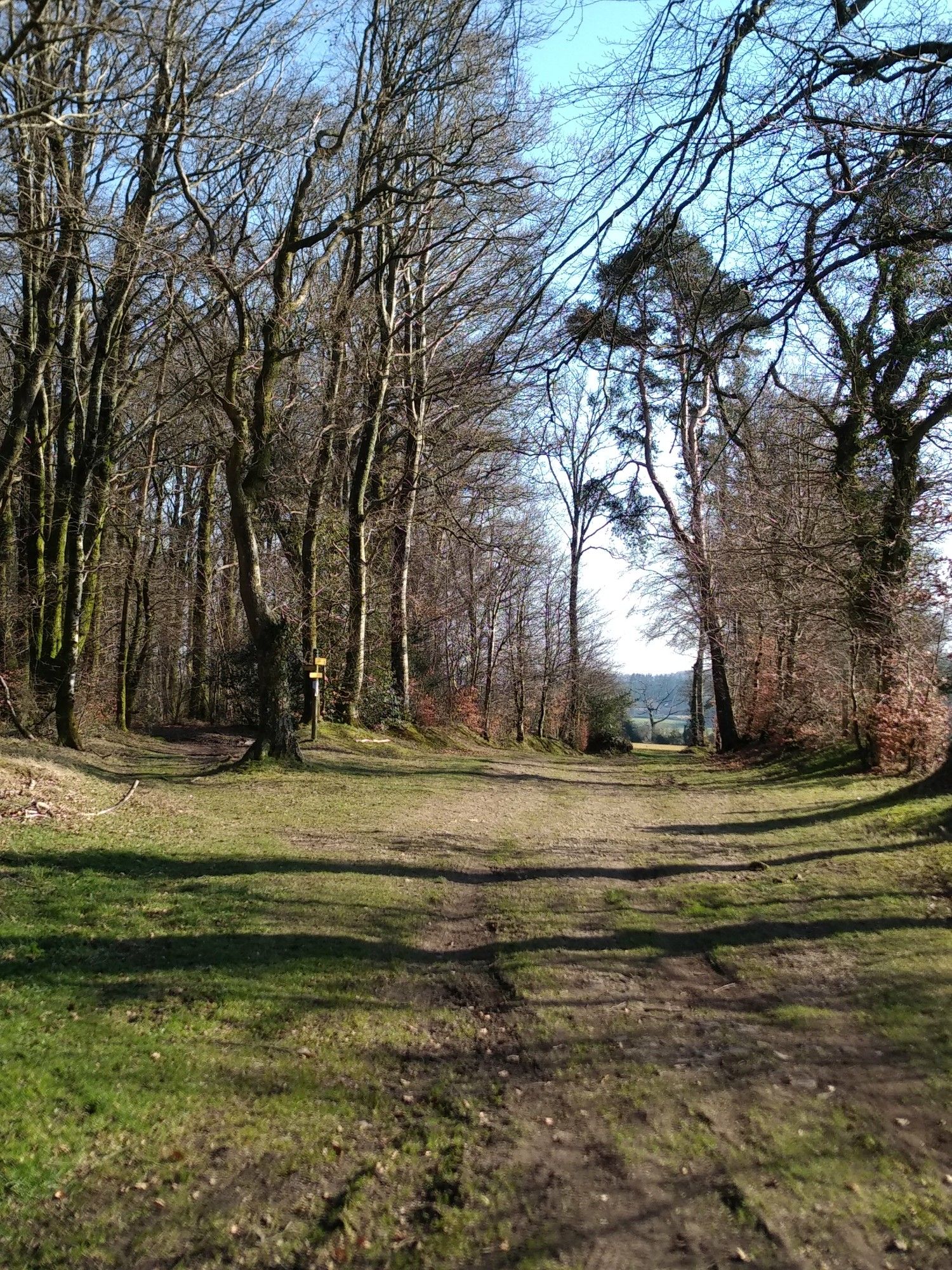 cote du chien