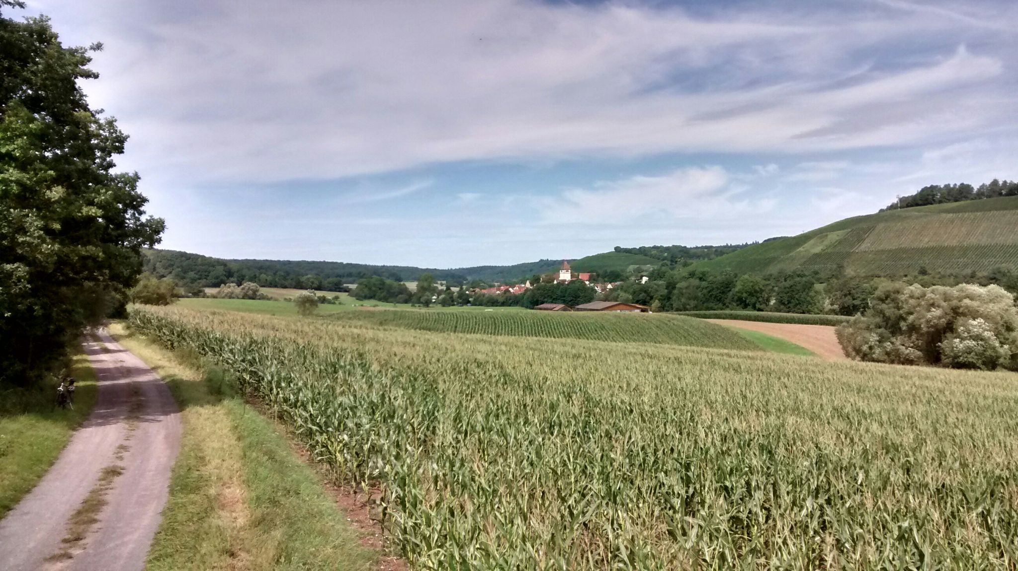 Blick auf Häfnerhaslach