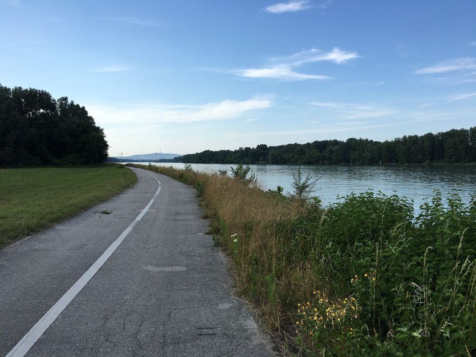 Radweg direkt am Donauufer