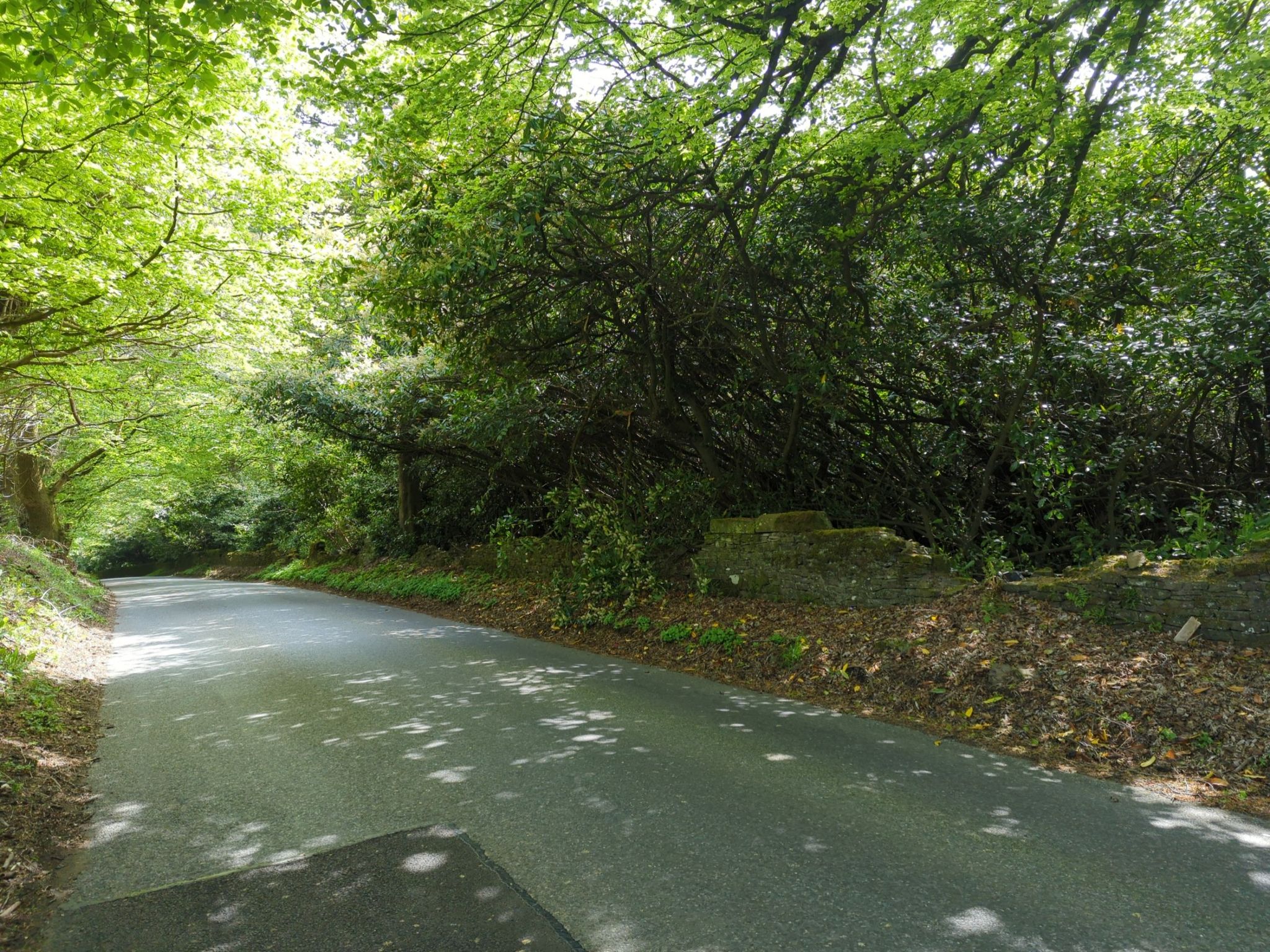 Old Glamis Road