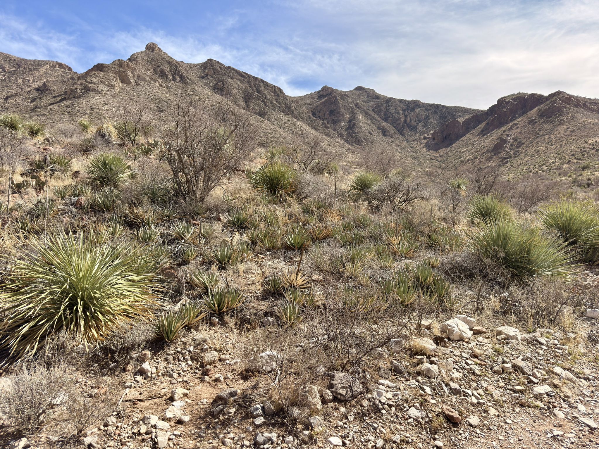 Rocky desert mountains under a bright sky, with sparse green and brown vegetation. - Aztec Cave Trail