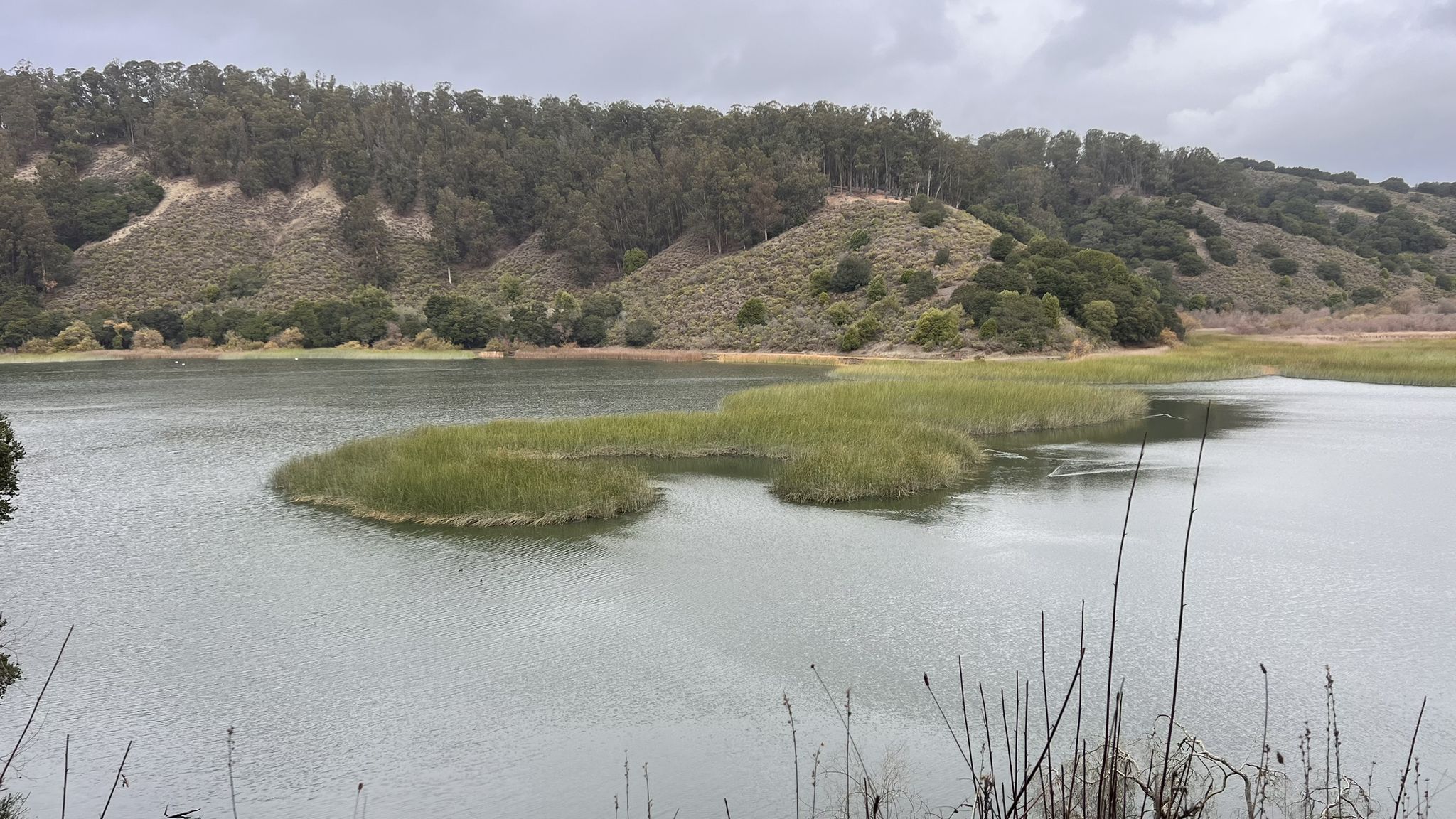 Overcast view of a lake with marshy islands and tree-covered hills. - Indian Cove, Cameron Loop and East Shore Loop Trail