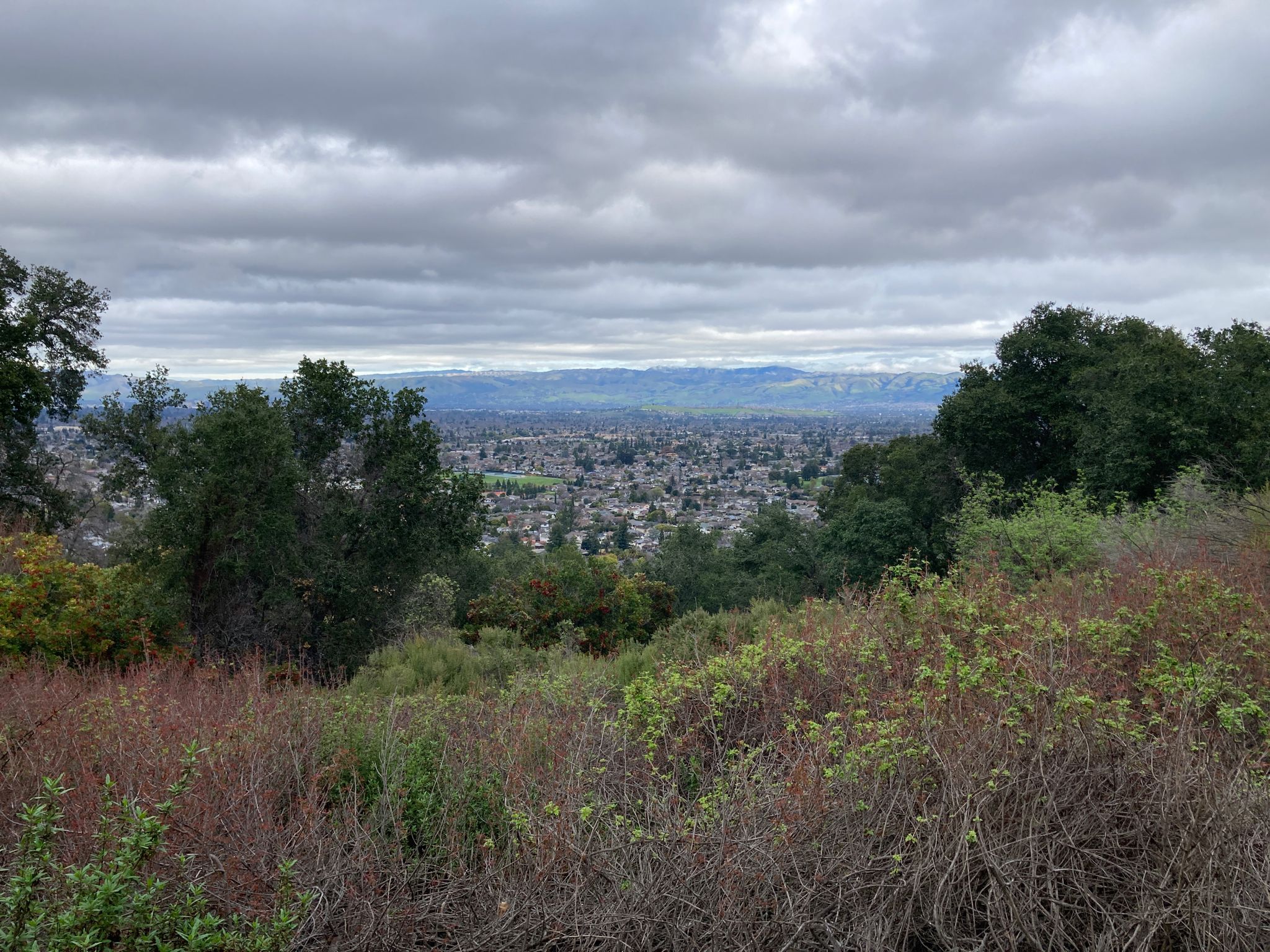 Overcast sky above a city view from a hill with green and brown foliage. - Valley View, Sky Lane, and Santa Rosa Trail Loop