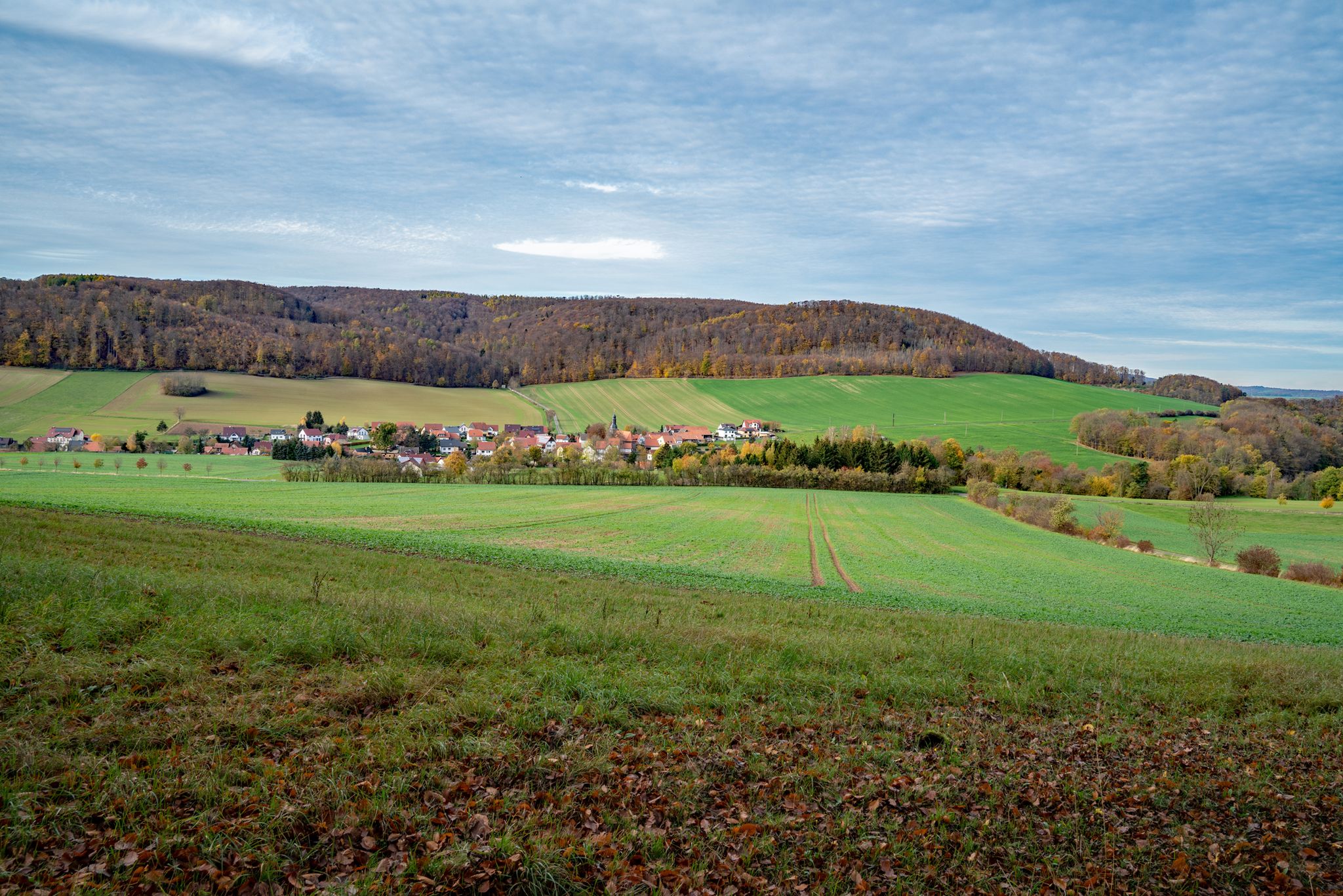 Lenterode