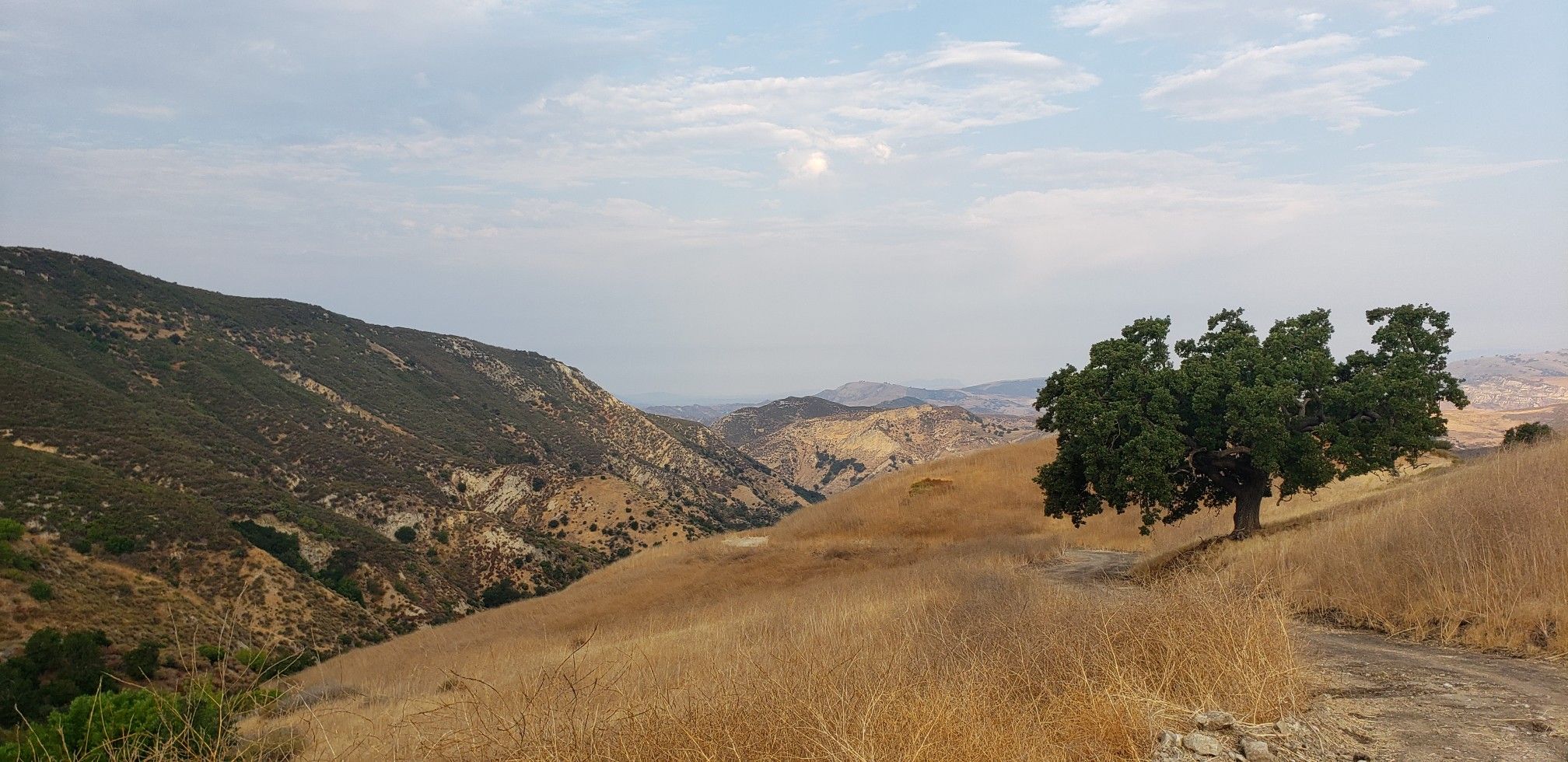 Dry golden hills and a green tree overlooking a hazy valley. - Rocky Peak Trail – Santa Susana Pass (Simi Pass) loop from Simi Valley
