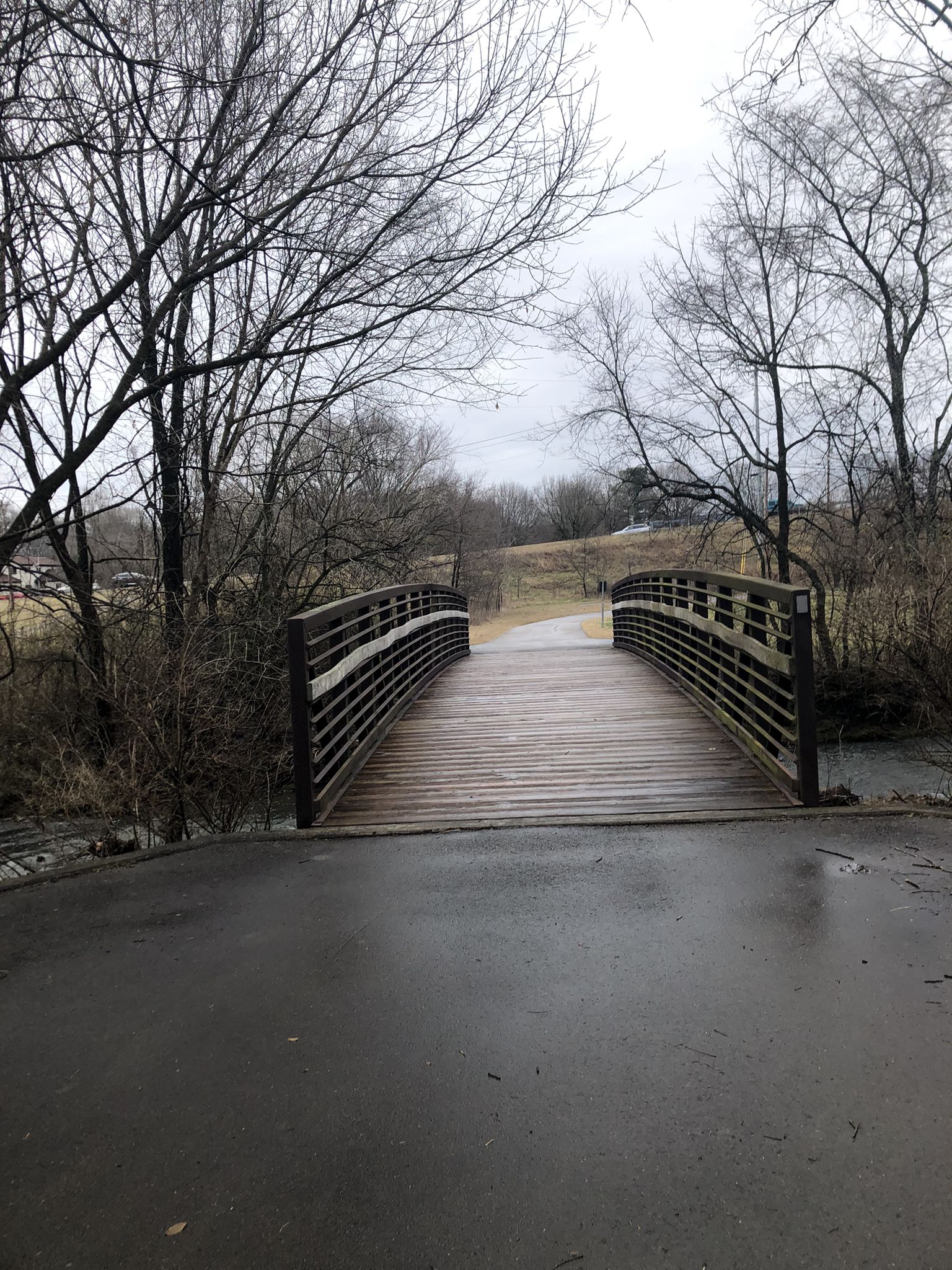 Arched wooden bridge over a dark stream, surrounded by bare trees on a cloudy day. - Boiling Springs Mounds – River Park Trail loop from Ravenwood High School