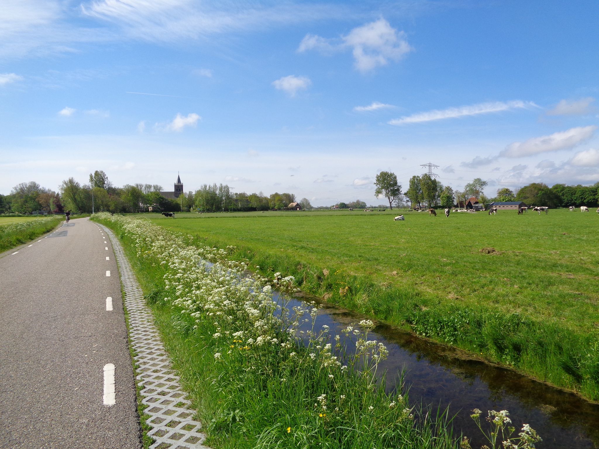 Zicht op Haringhuizen vanaf de Lutjewallerweg