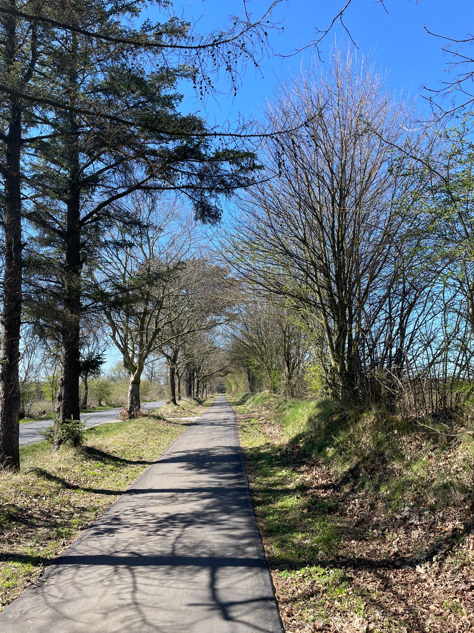 Straße 'Westerlund'