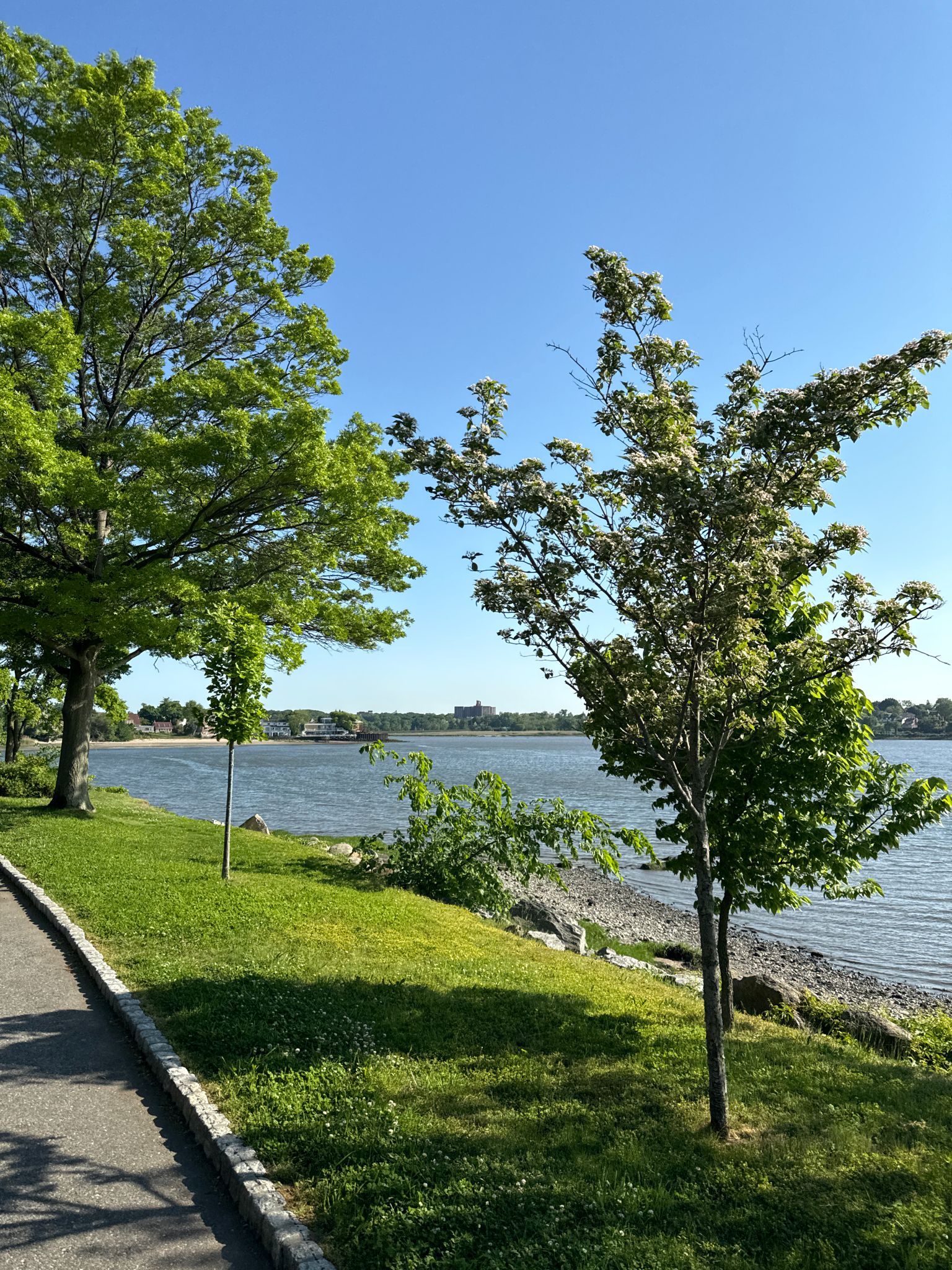 Sunny day with green trees, a paved path, and a sparkling water body. - Shore Road loop from Village of Lake Success