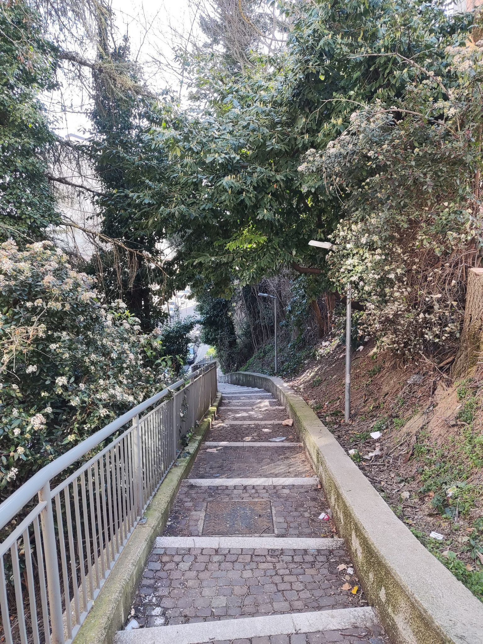 viele Treppen