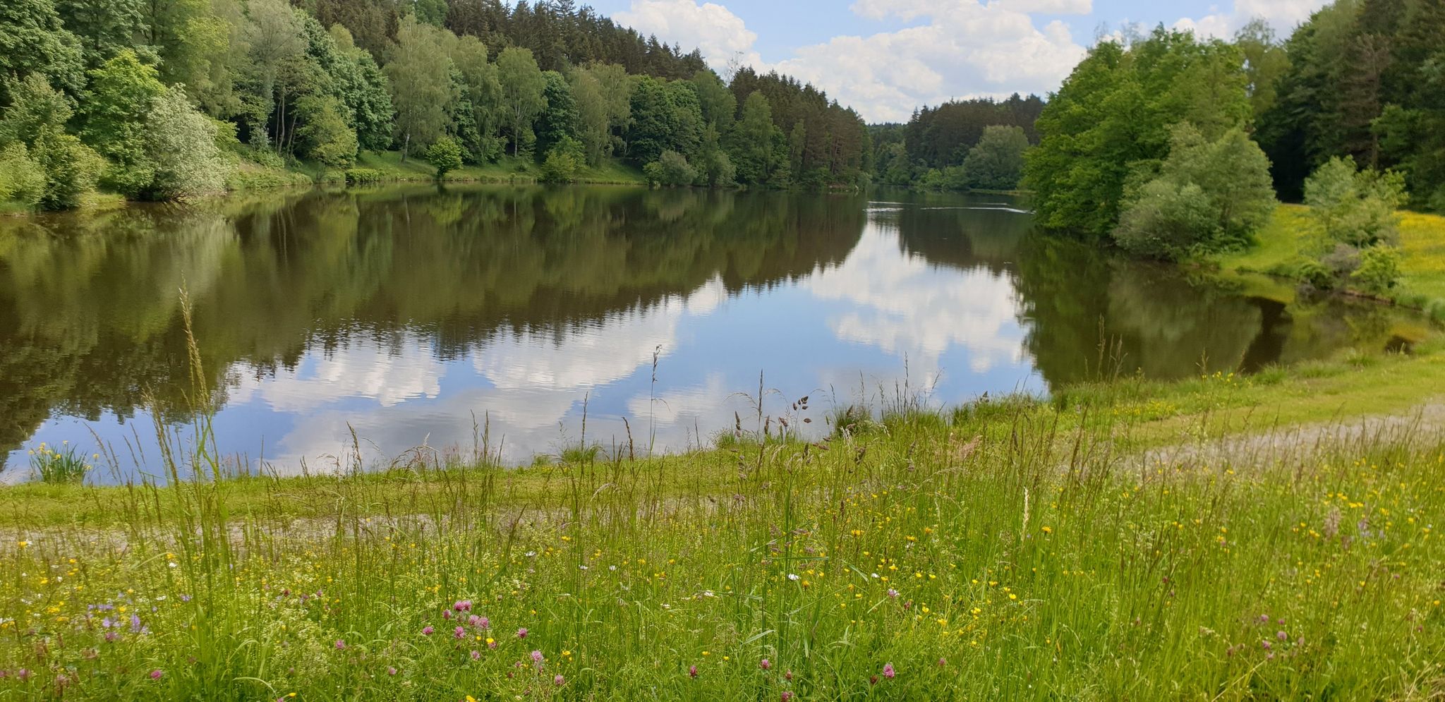 Fischbachsee