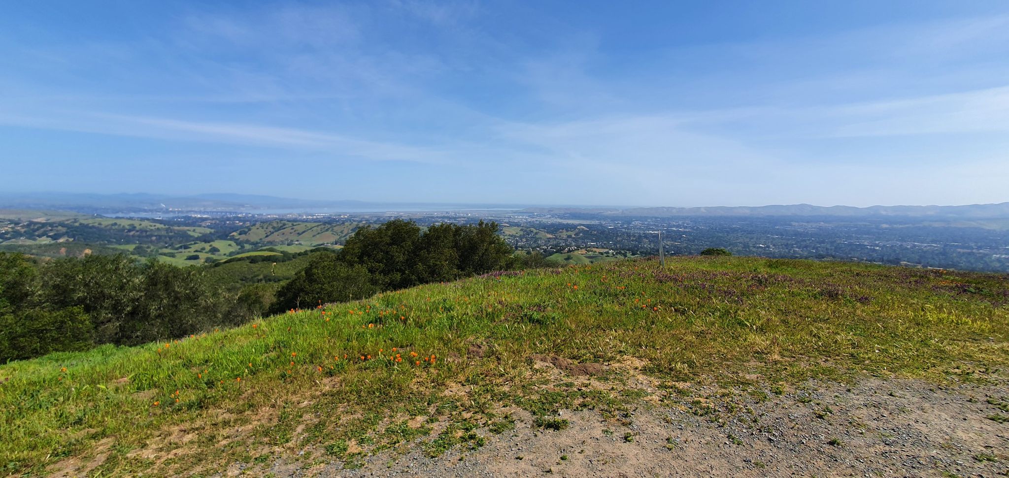Panoramic view from a grassy hilltop overlooking a hazy distant city. - Blue Oak Trail and Spengler Trail Loop to Tabletop