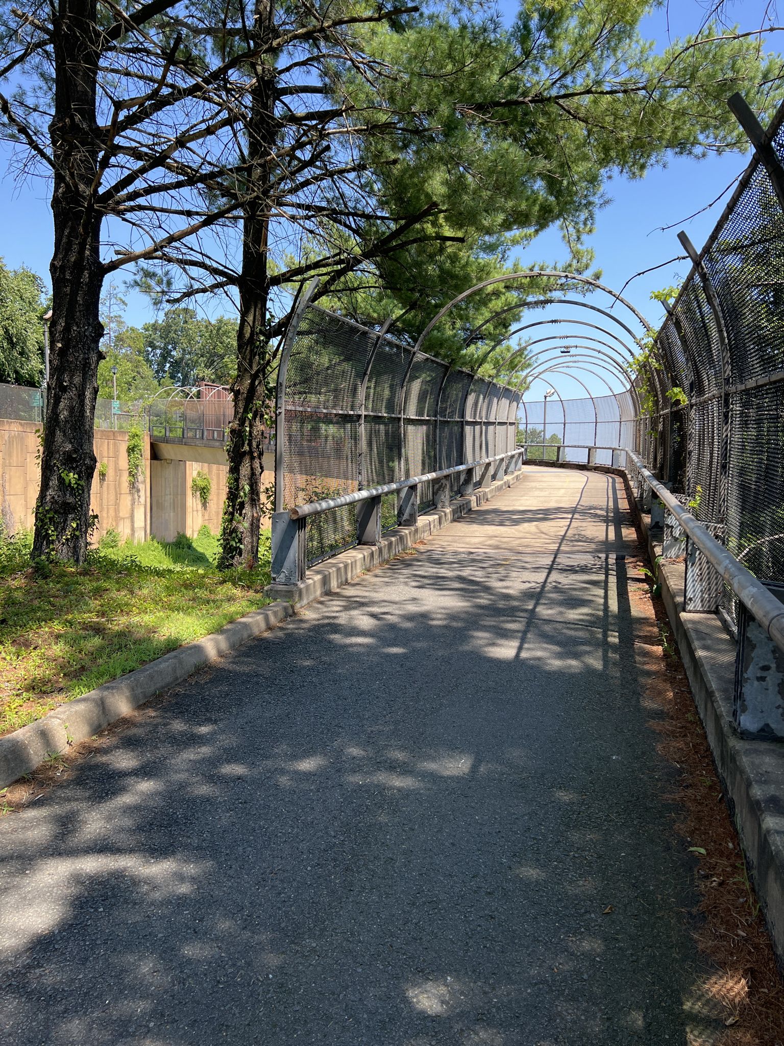 Paved pathway with a metal fence tunnel under bright daylight, dappled shadows. - Custis Trail