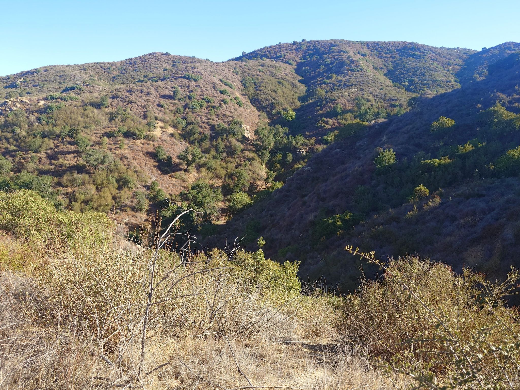 Sunny view of steep, brush-covered mountains and a deep valley. - Las Virgenes Creek – East Las Virgenes Canyon loop from Liberty Canyon Open Space