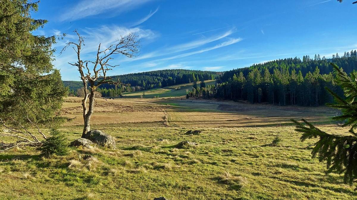 Beim Reinertonishof