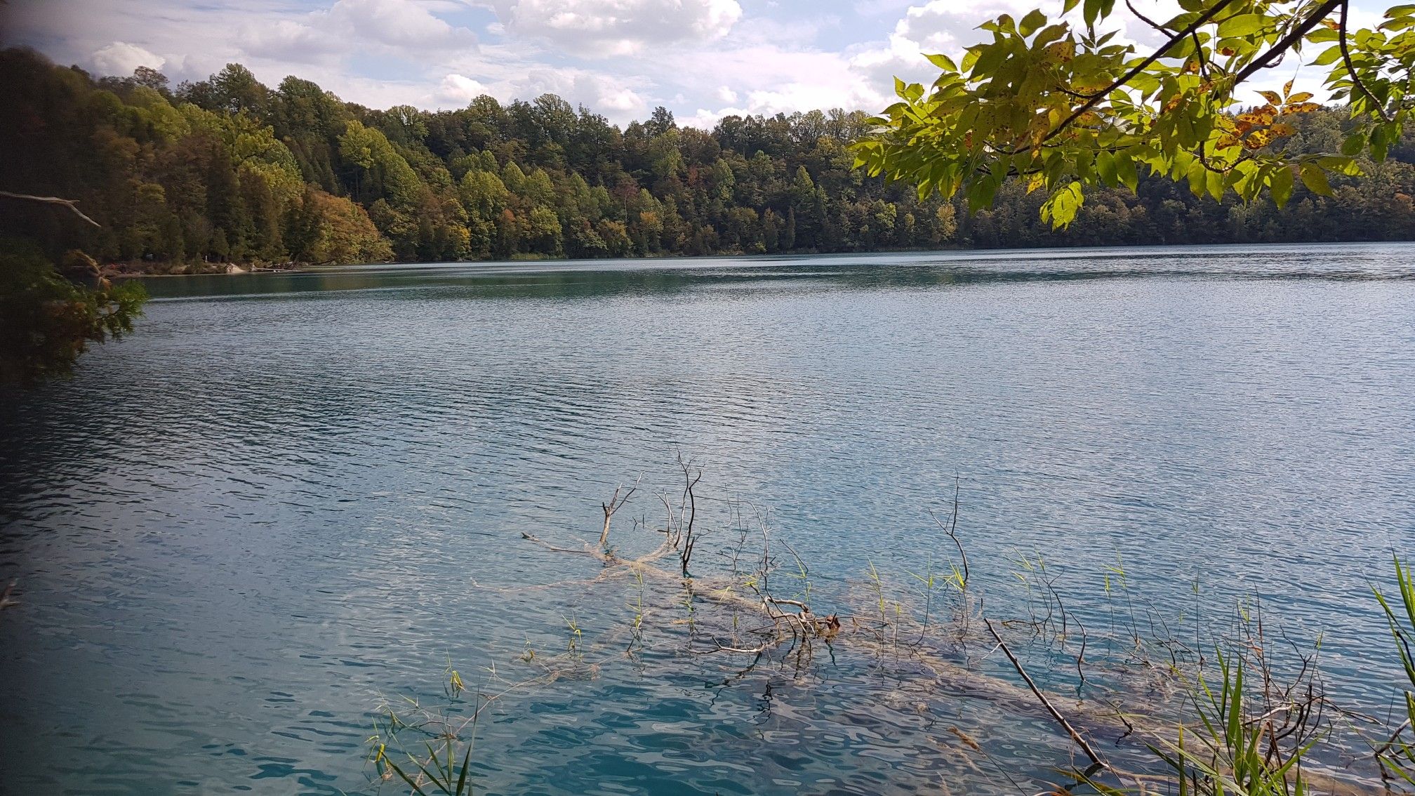 Calm lake with submerged branches, surrounded by green trees under clouds. - Green Lake – Erie Canalway Trail loop from Green Lakes State Park
