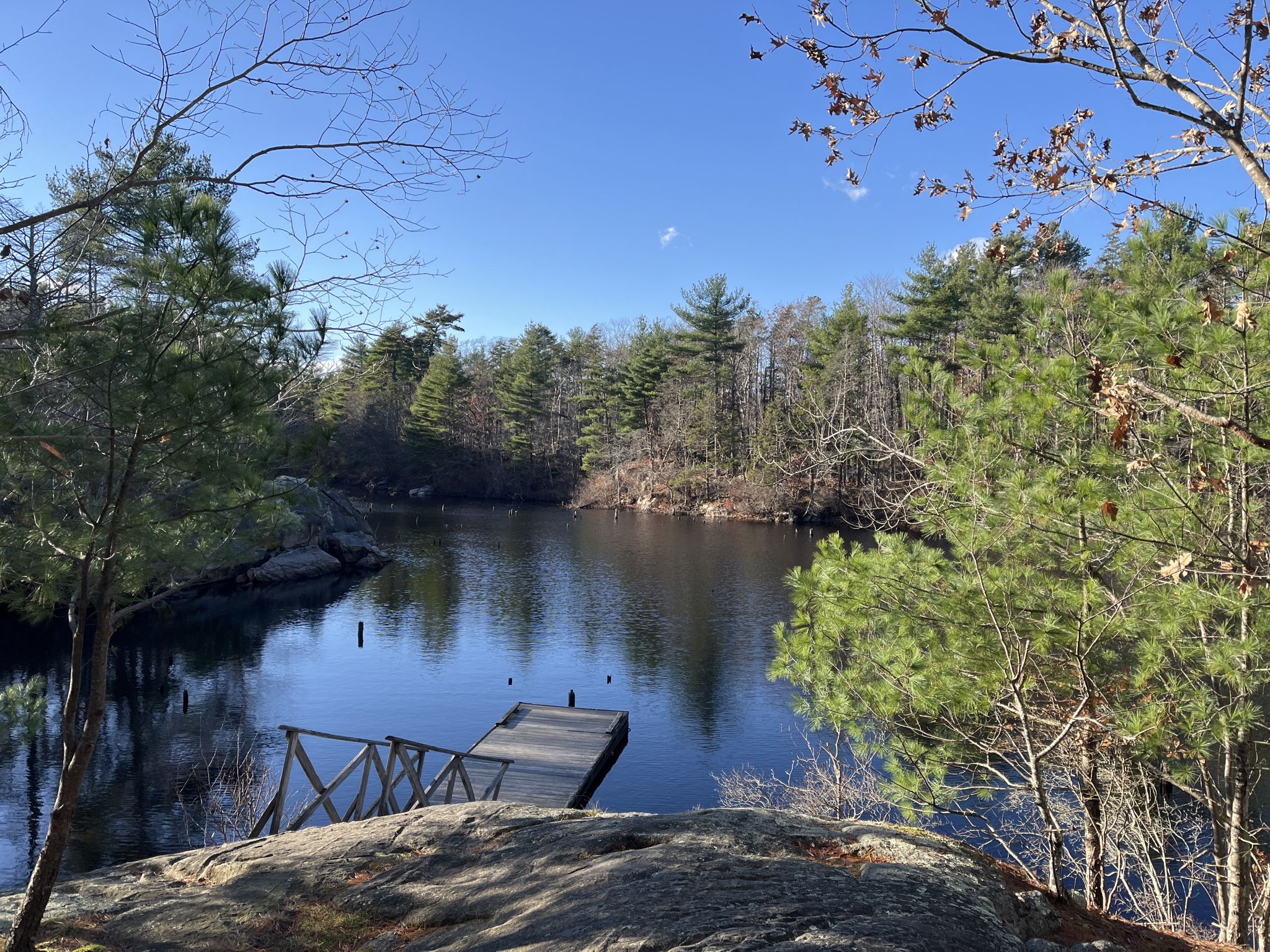 Wooden dock on a calm lake surrounded by trees, bright sunny day. - Wompatuck Loop (Long) – Wompatuck State Park
