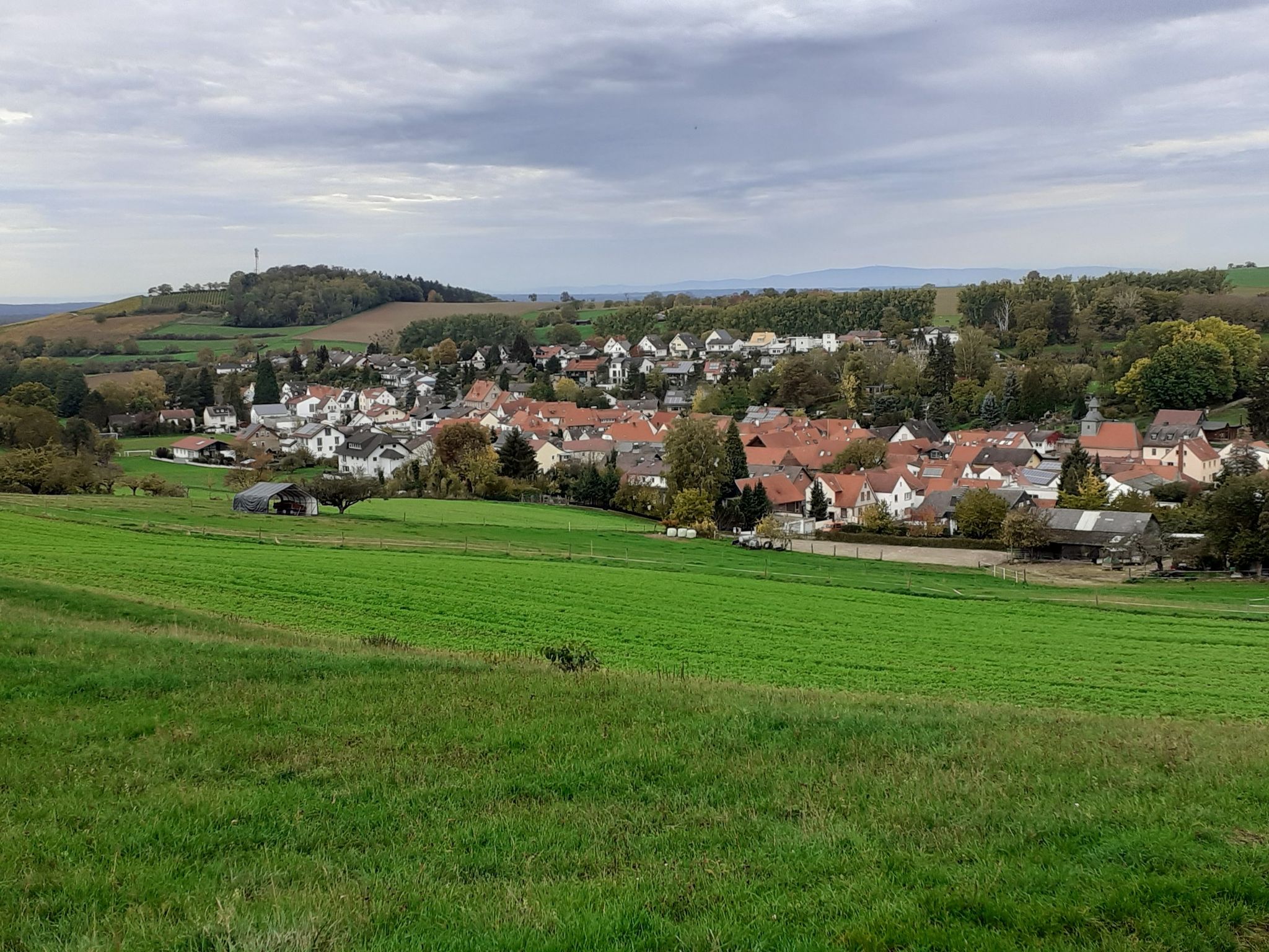 Blick auf Rainbach